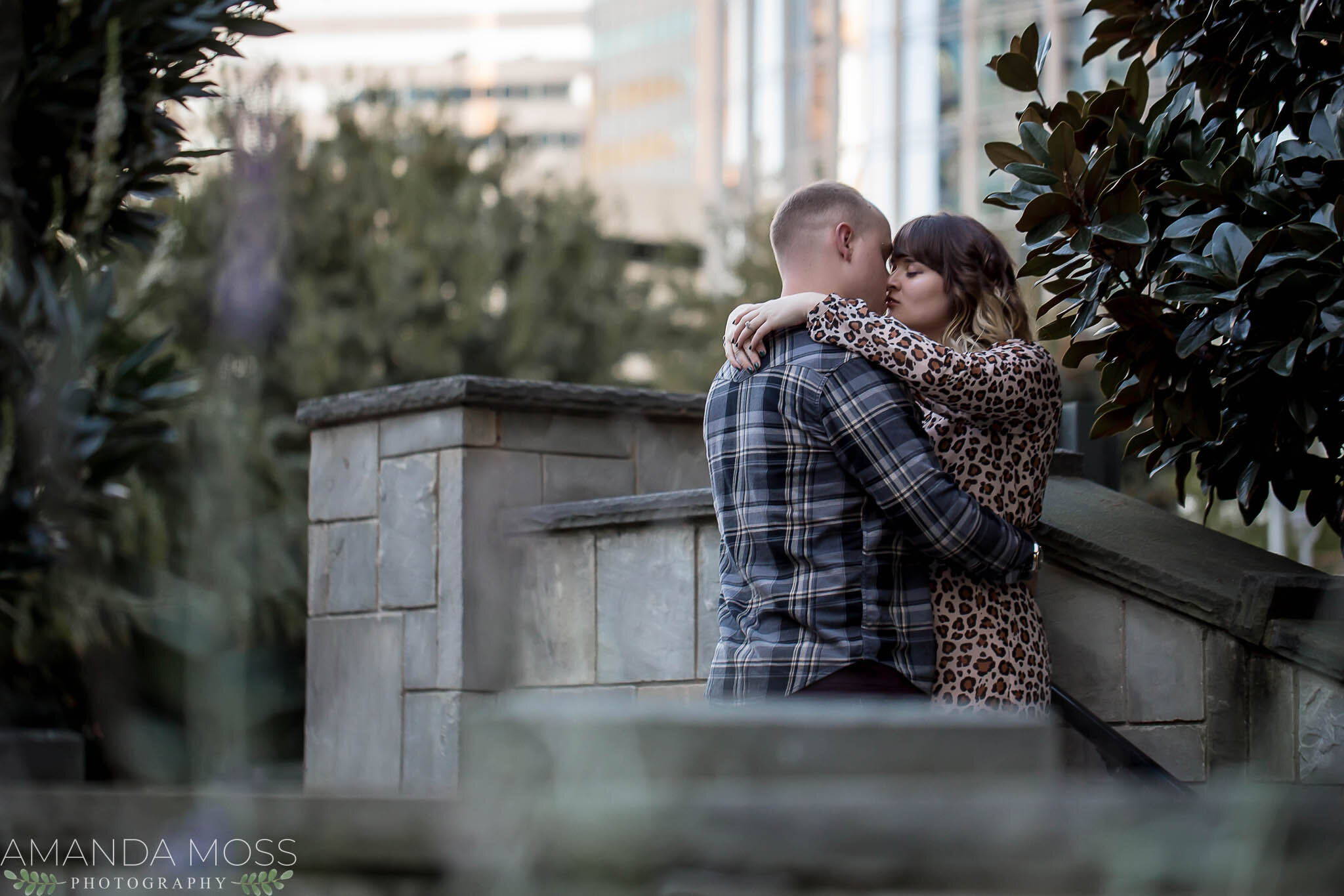 charlotte north carolina surprise proposal downtown romare bearden park