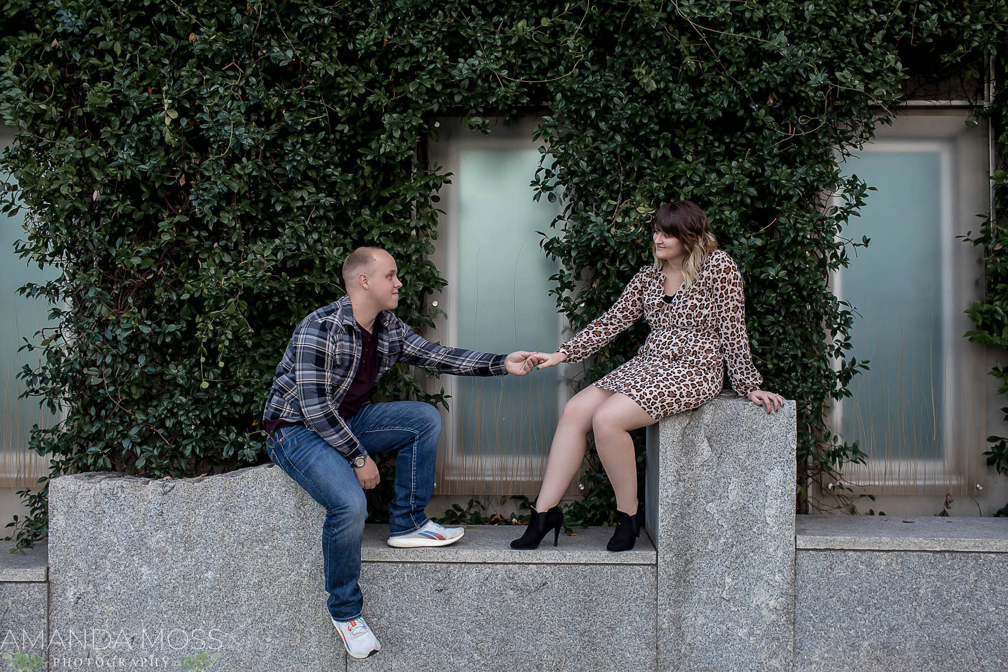 charlotte north carolina surprise proposal downtown romare bearden park