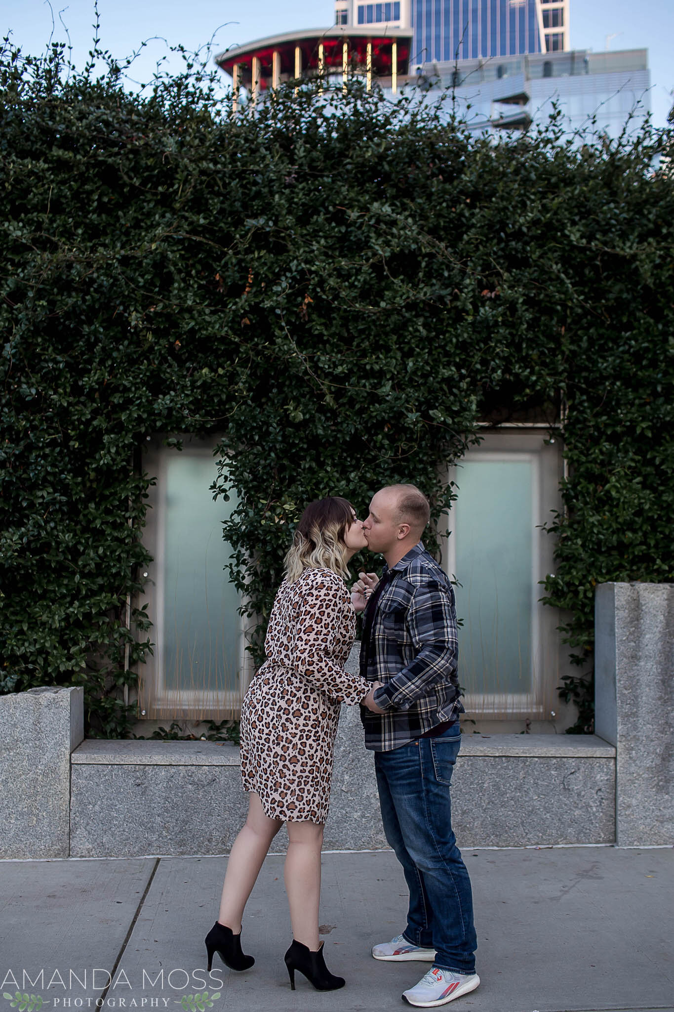 charlotte north carolina surprise proposal downtown romare bearden park