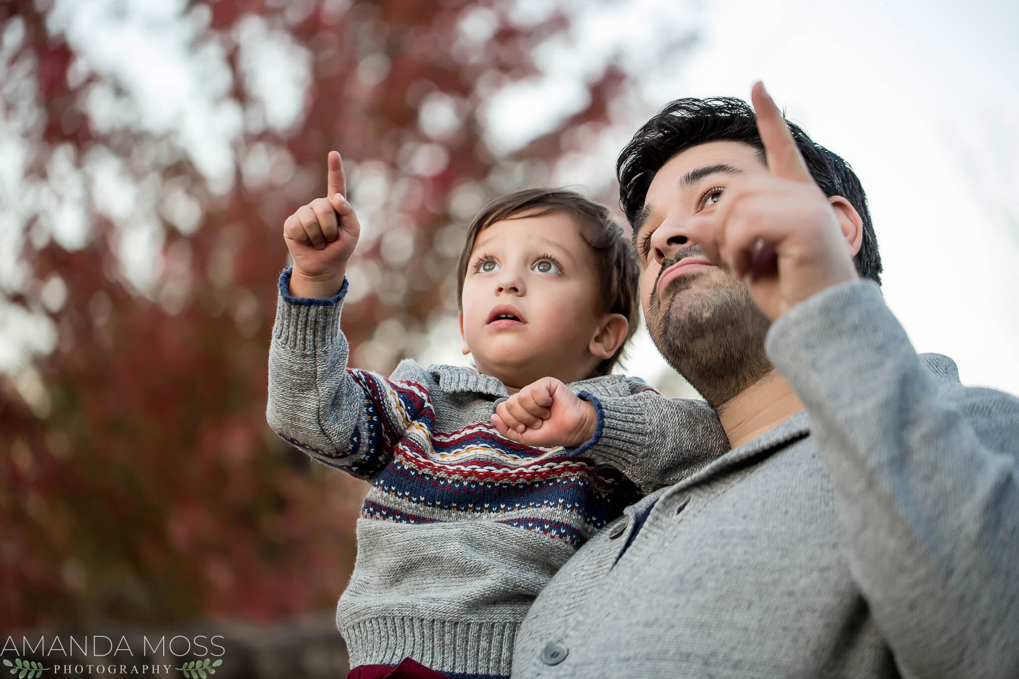 charlotte north carolina family photographer fall session elizabeth park