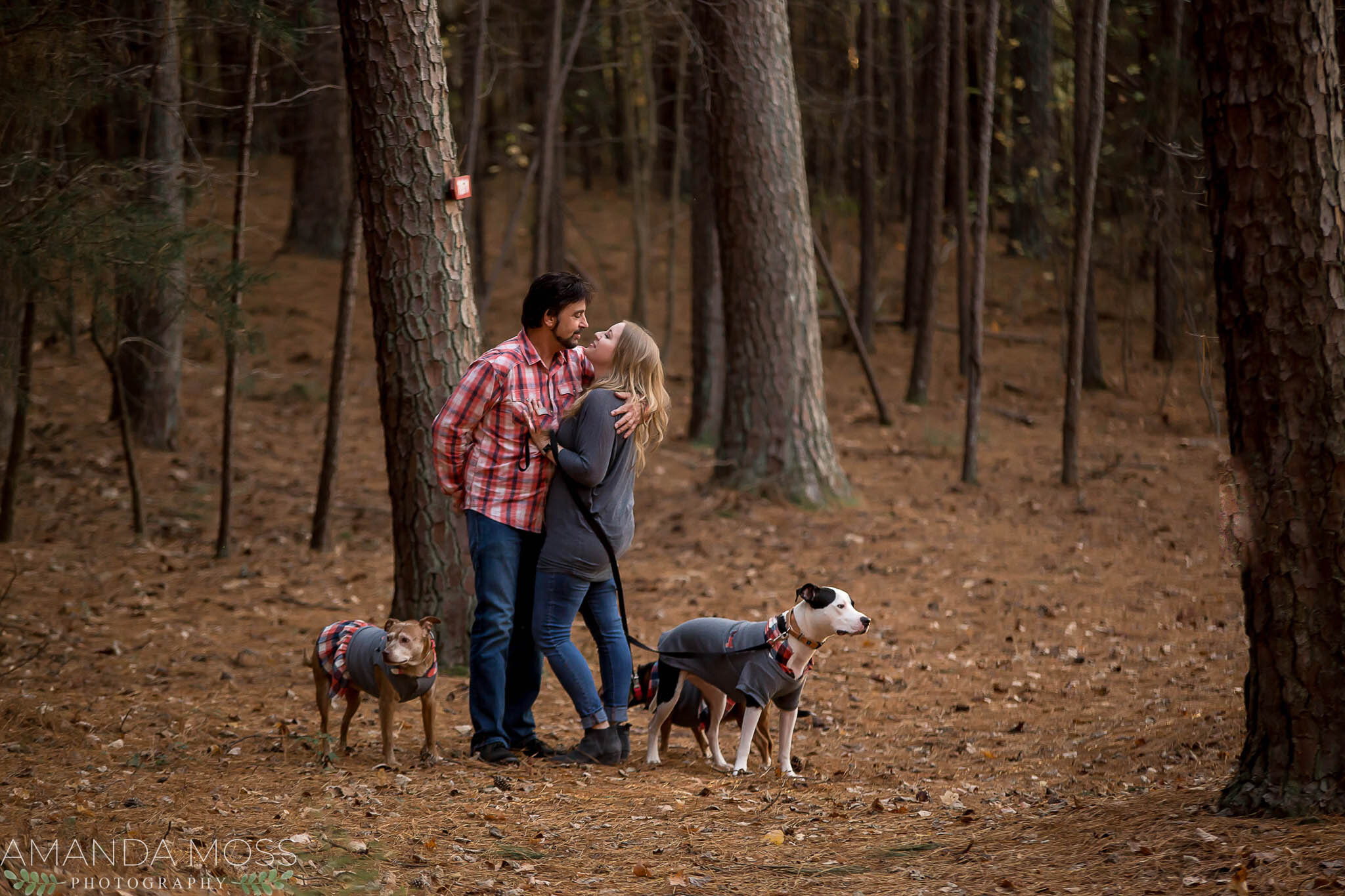 charlotte north carolina family photographer fall session rankin lake park with dogs
