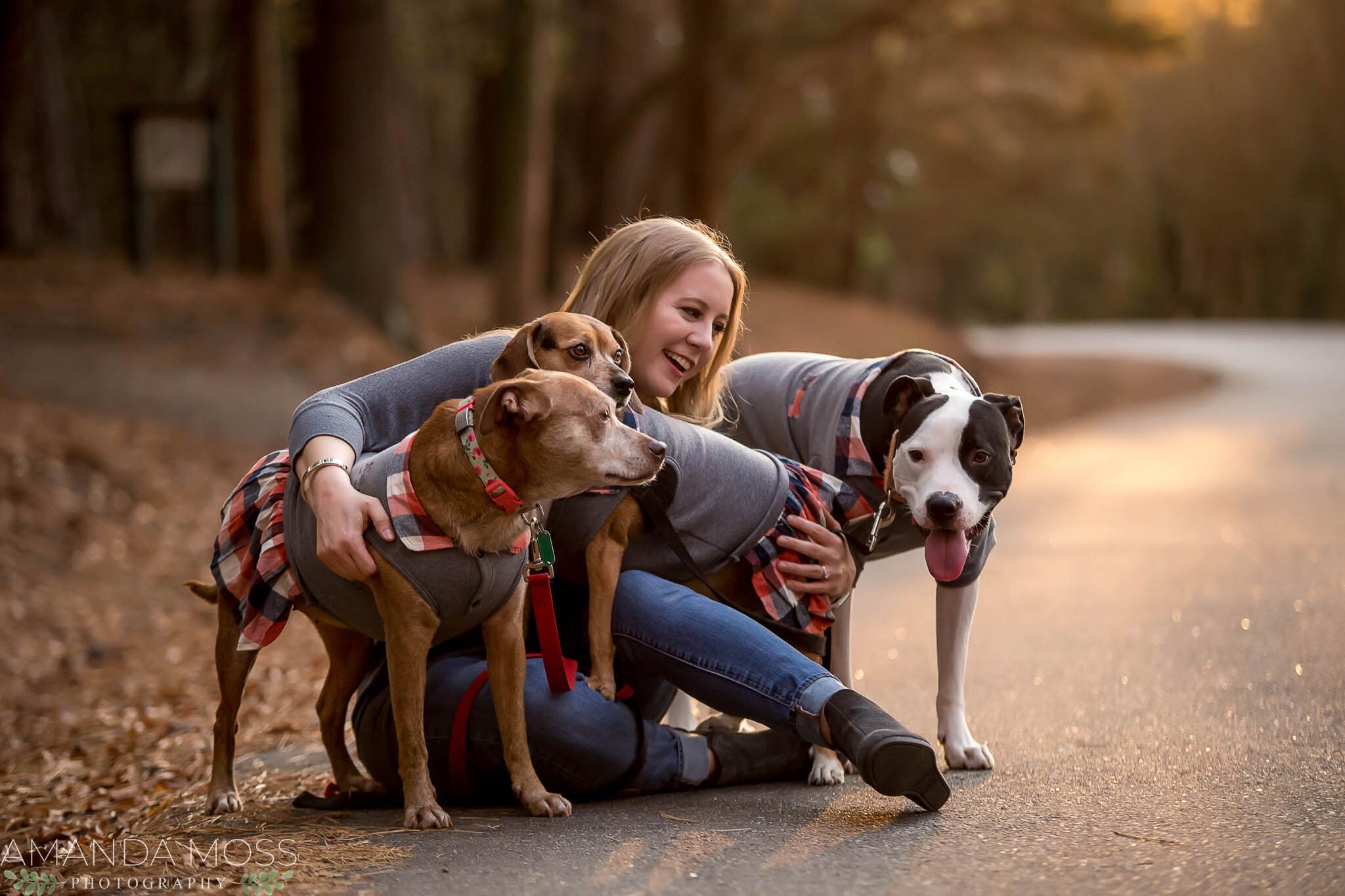 charlotte north carolina family photographer fall session rankin lake park with dogs
