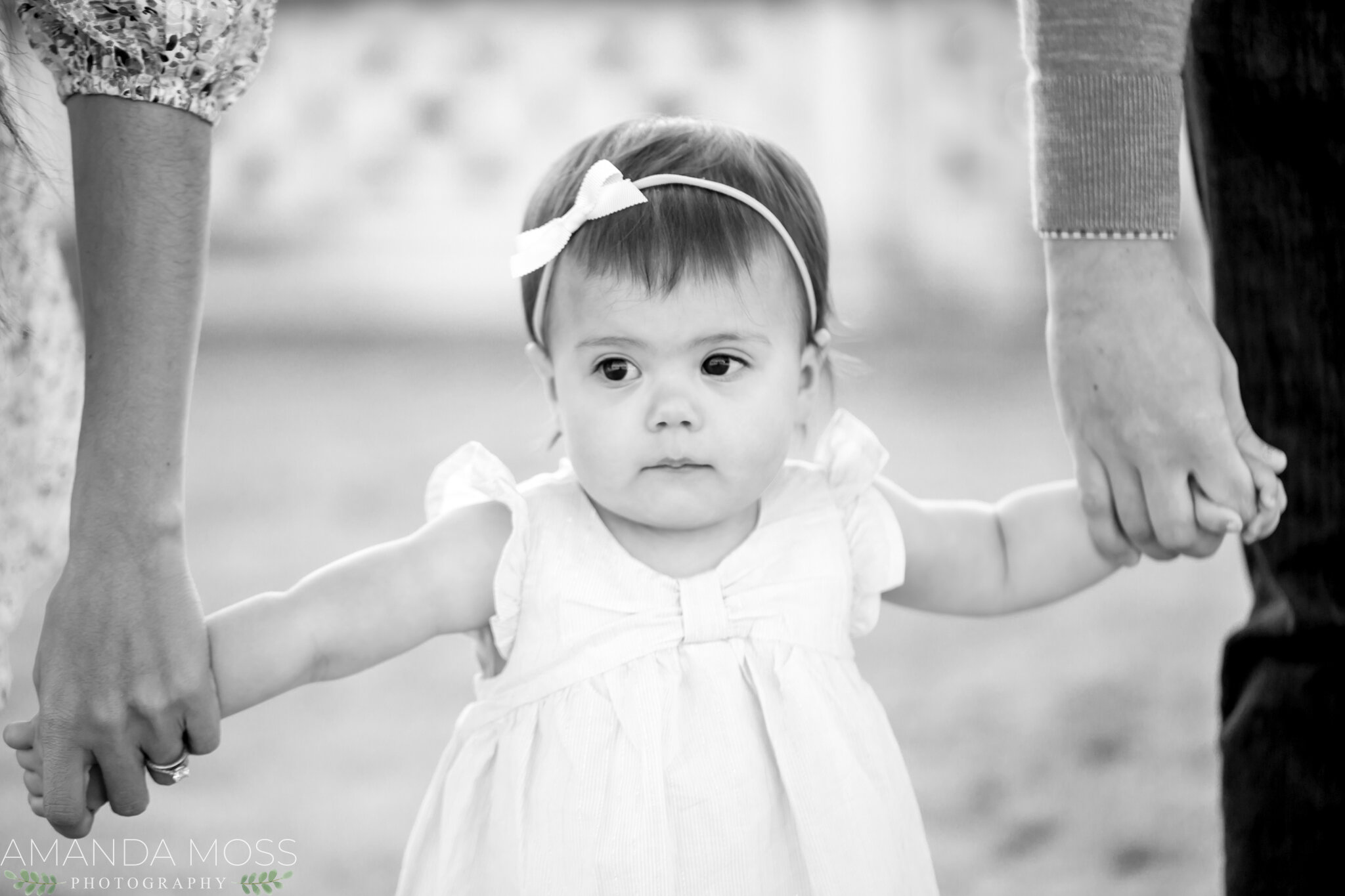 charlotte nc family photographer toddler girl midtown park 3