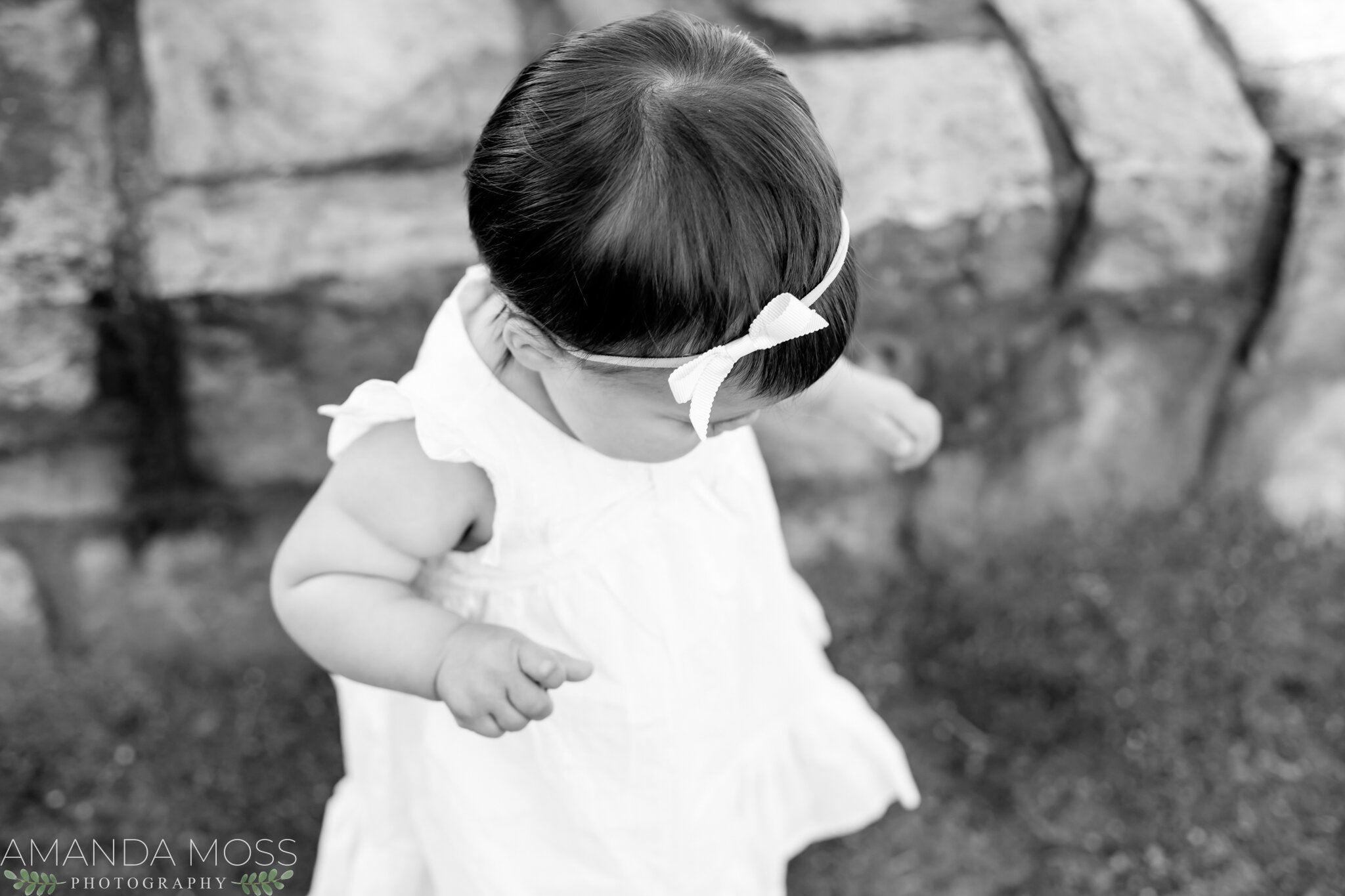 charlotte nc family photographer toddler girl midtown park 3
