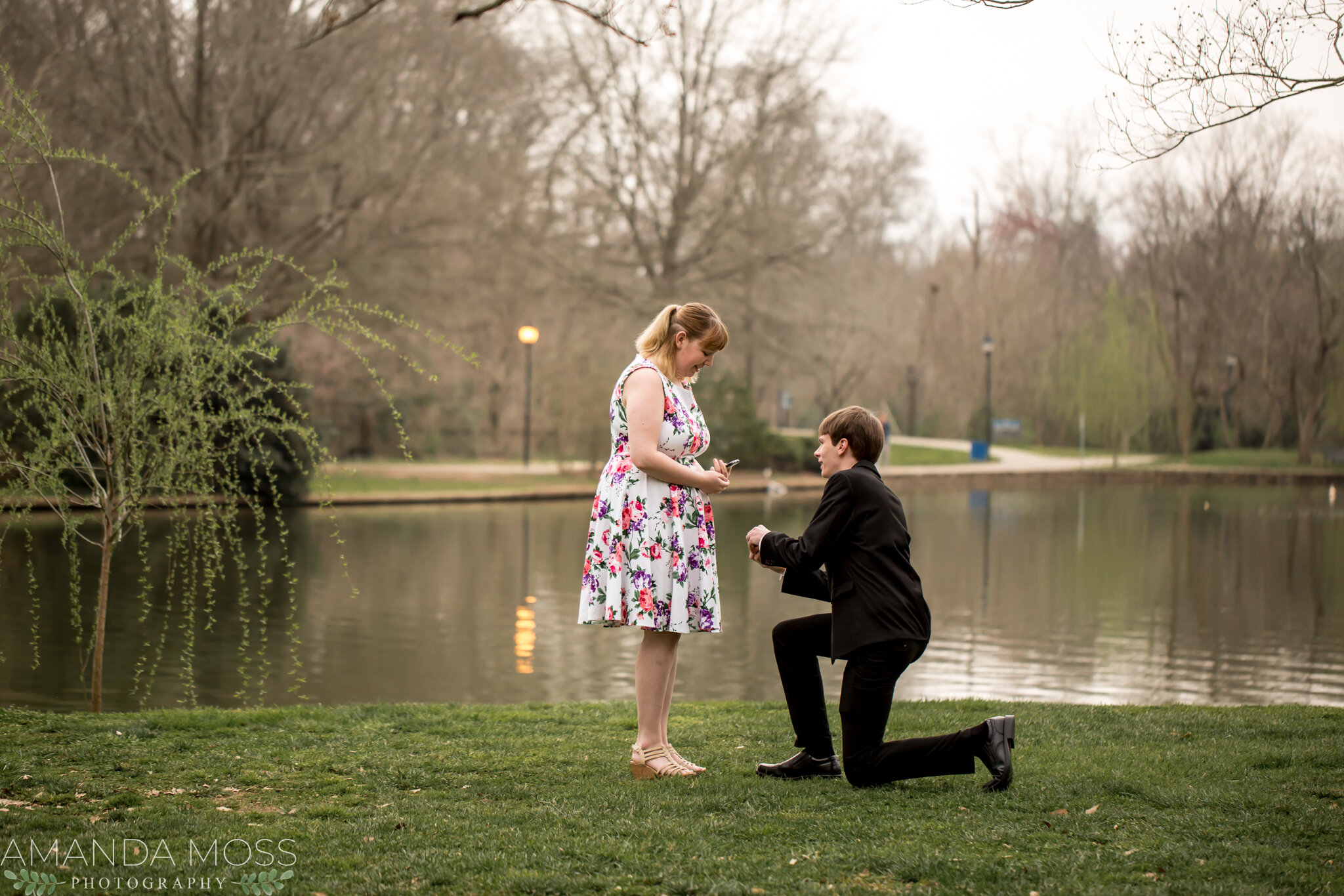 charlotte nc wedding photographer surprise proposal freedom park