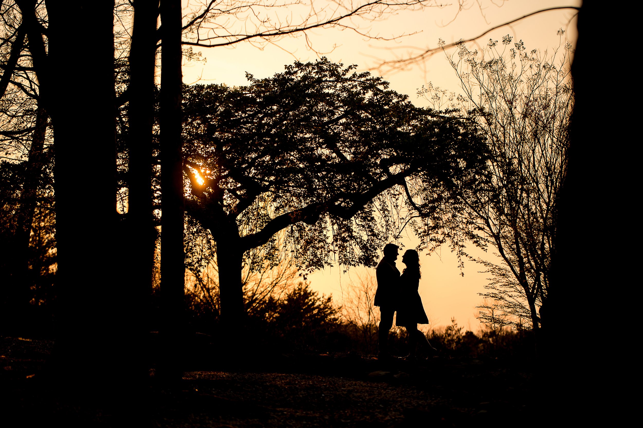 charlotte north carolina engagement photographer wedding raffaldini vineyard sunset silhouette