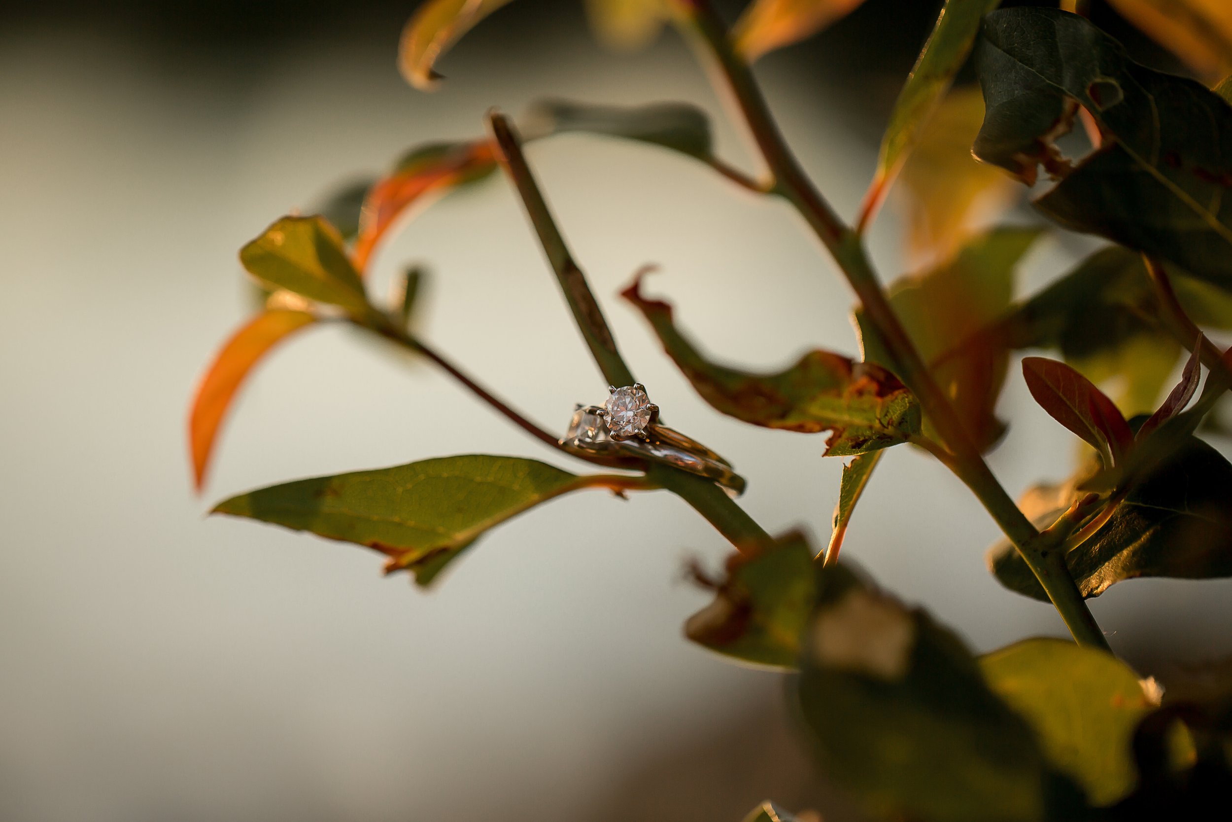 charlotte north carolina wedding photographer engagement session gastonia lgbt rankin lake park lesbian lgbtq gay couple