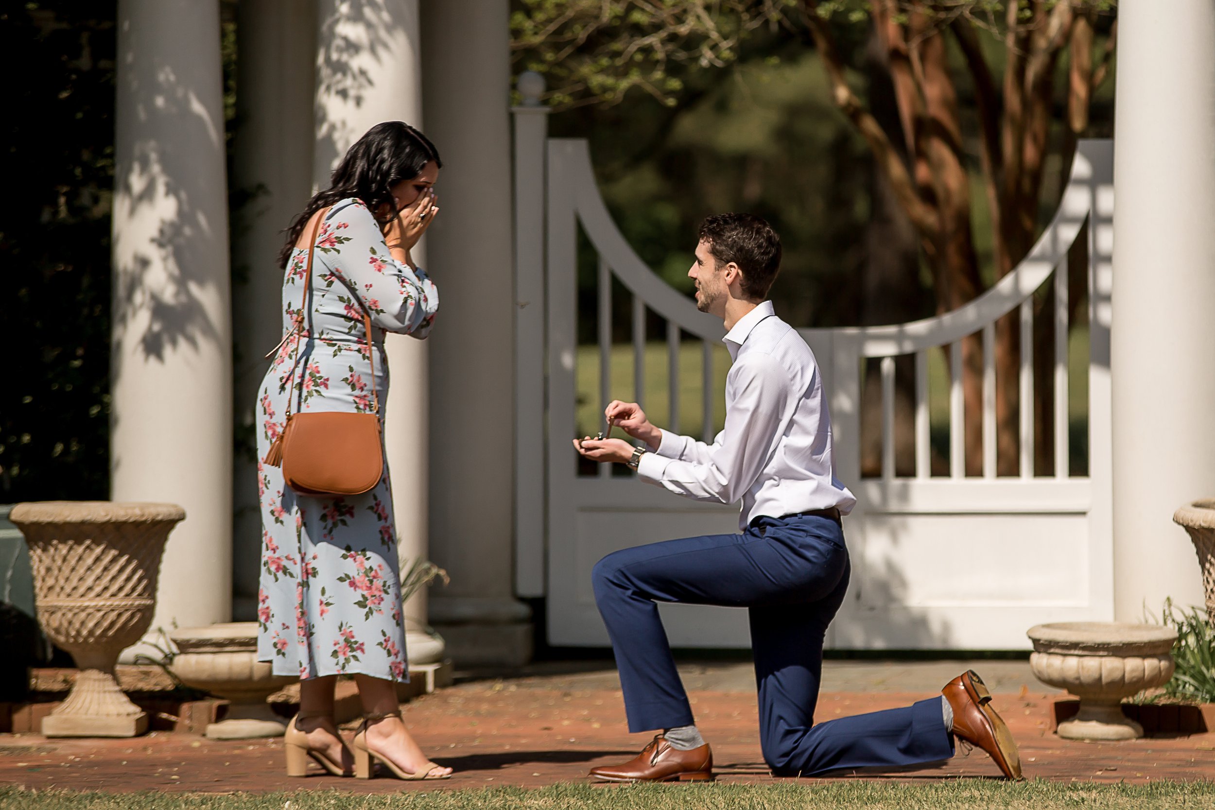 charlotte north carolina wedding portrait photographer daniel stowe botanical garden proposal engagement couple engaged white garden