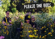 PleaseTheBees-copy.jpeg