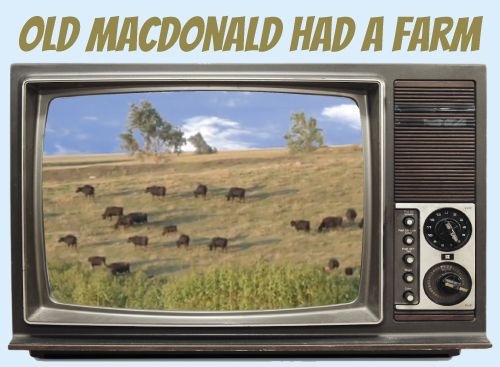 Website-tv-oldmacdonald.jpg