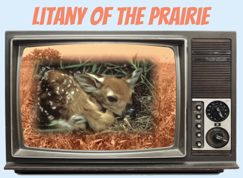 Website-tv-litanyofprairie.jpg