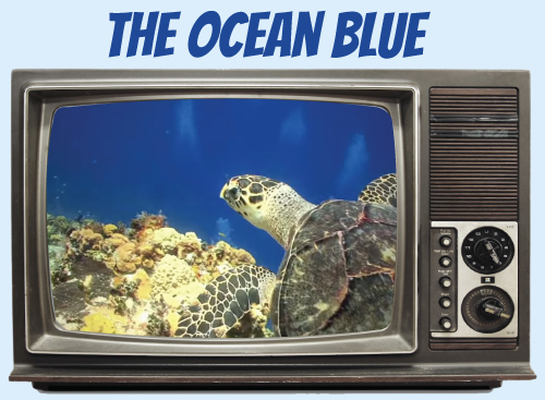 Website-tv-oceanblue.jpg