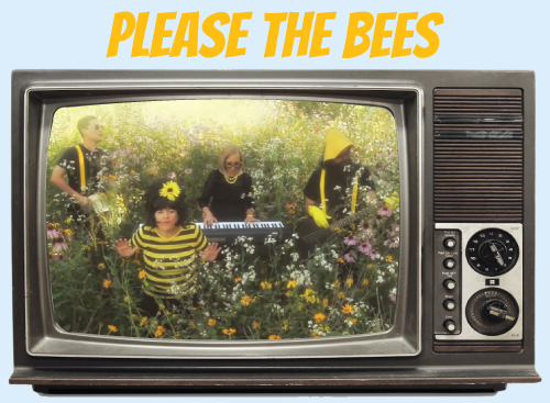 Website-tv-bees.jpg