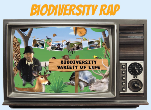 Website-tv-biodiversity-rap.jpg