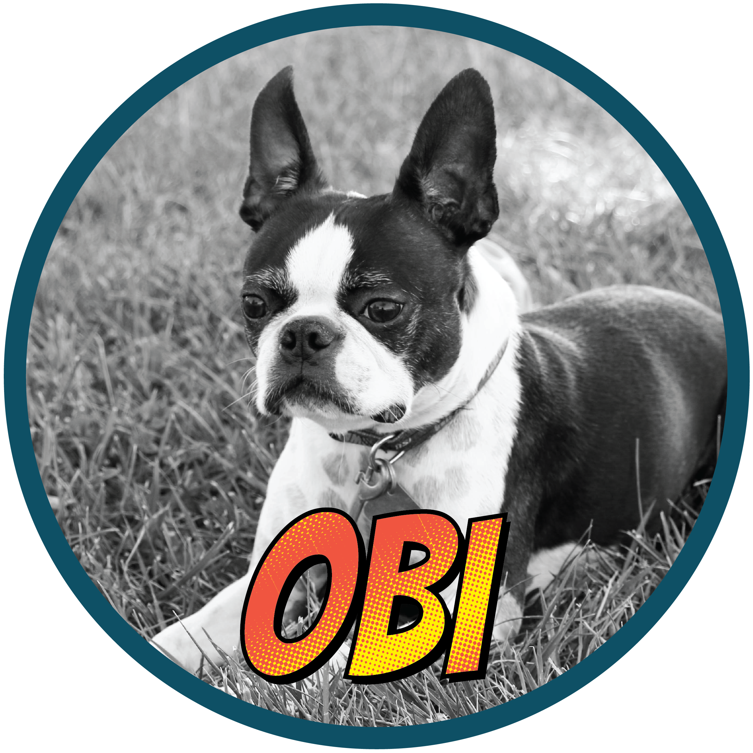 Obi(profile)-01.png