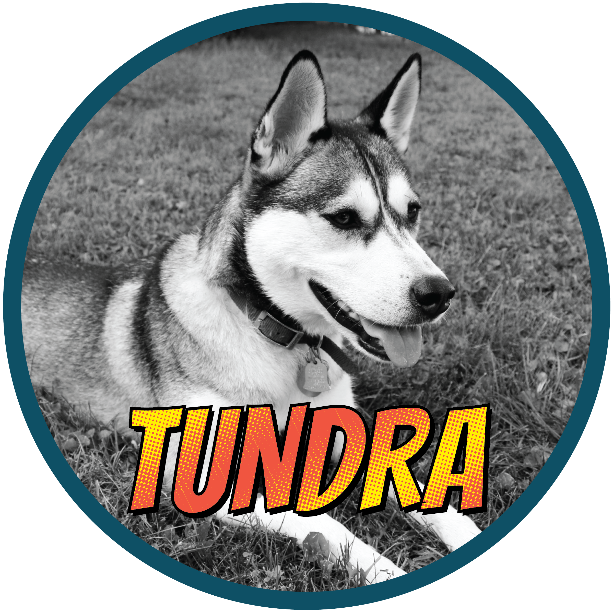 Tundra(profile)-01.png