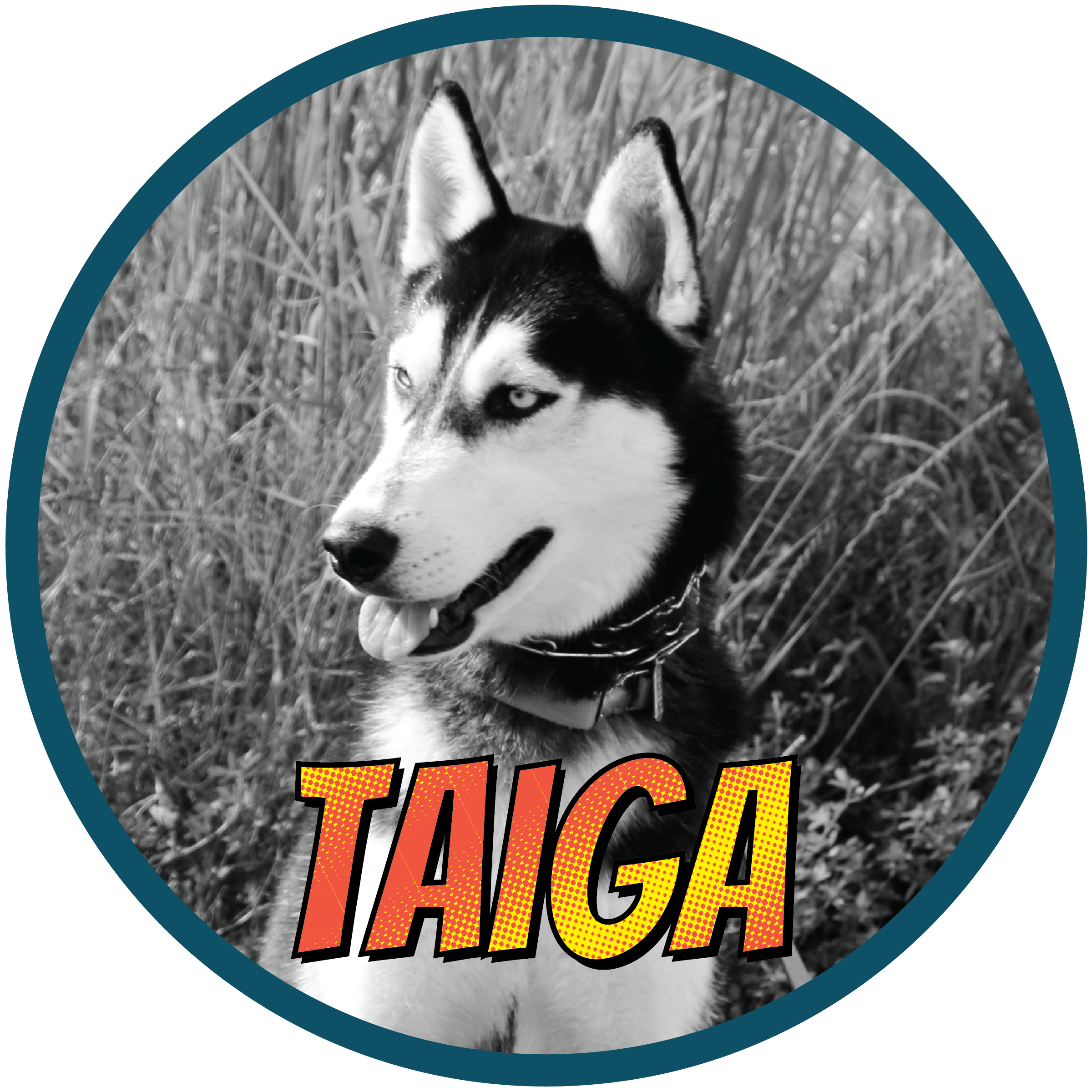 Taiga(profile)-01.png