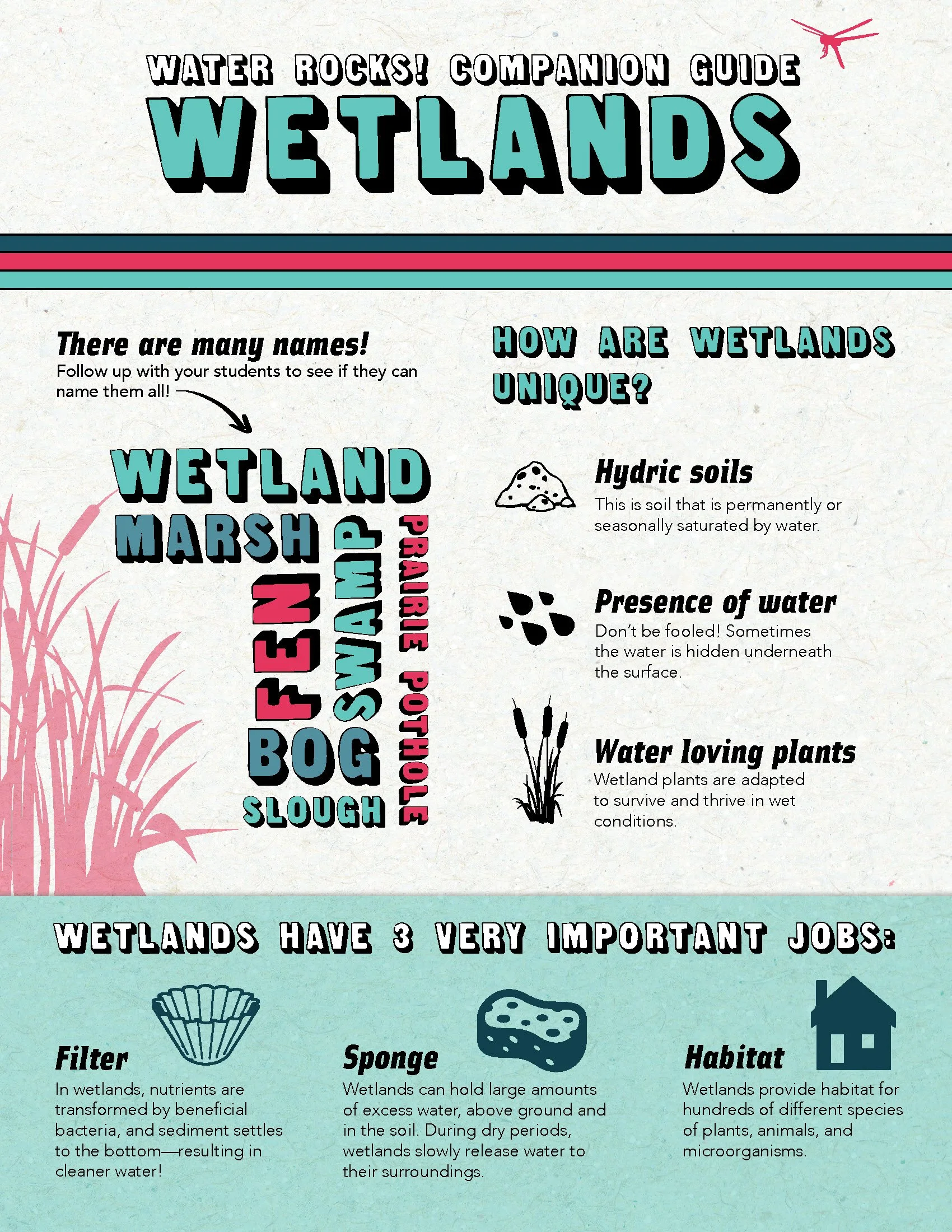 Teacher Companion Guide (Wetlands)_508_Page_1.jpg