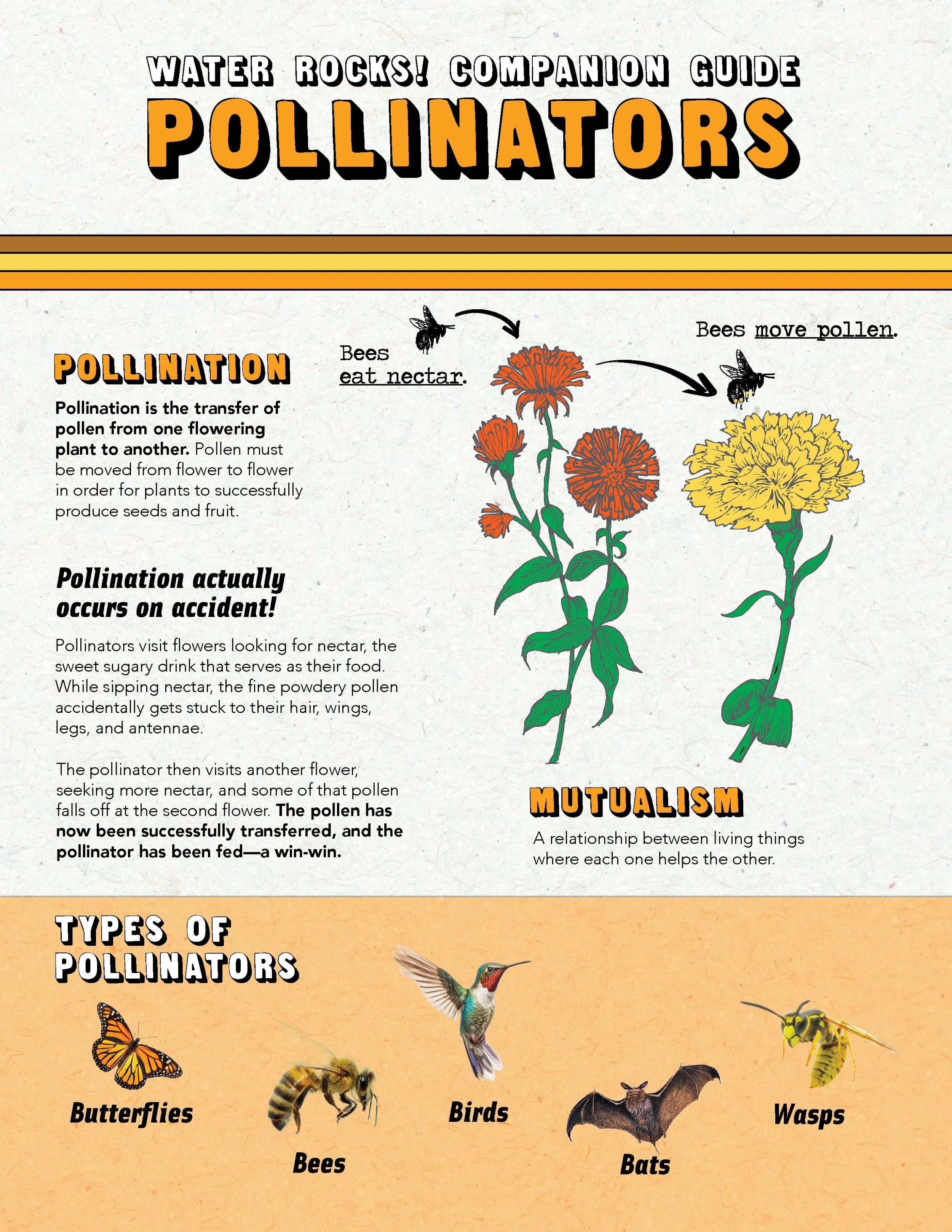 Teacher Companion Guide (Pollinators)_508_Page_1.jpg