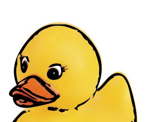 What's In Your Water? Activities