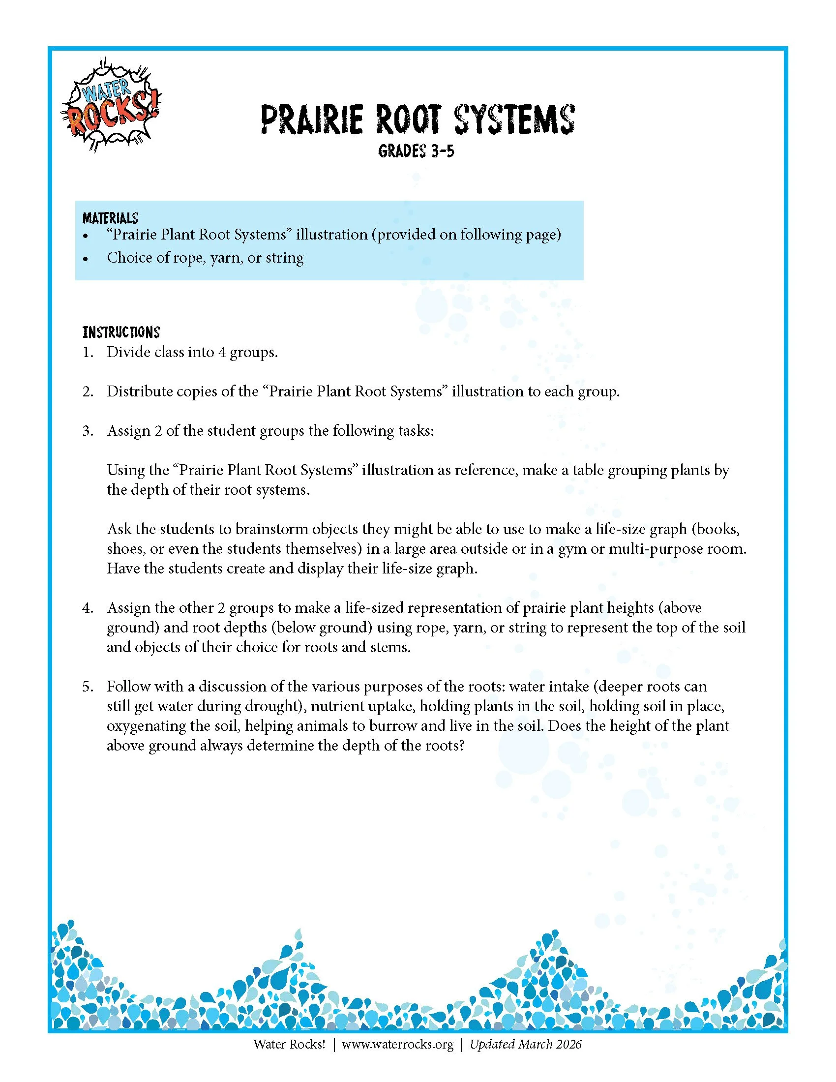 Prairie Root Systems