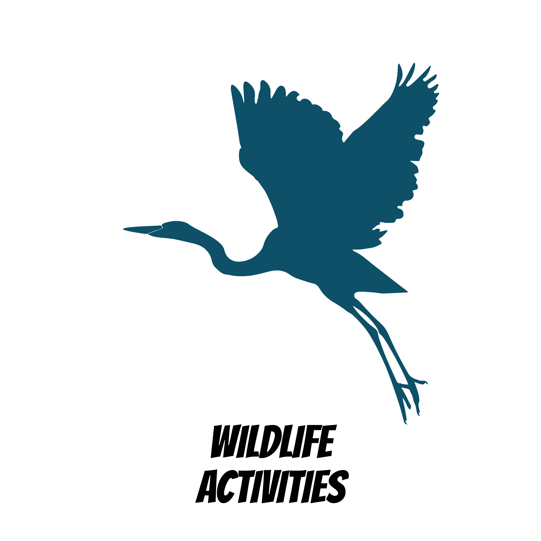  Wildlife Activities 