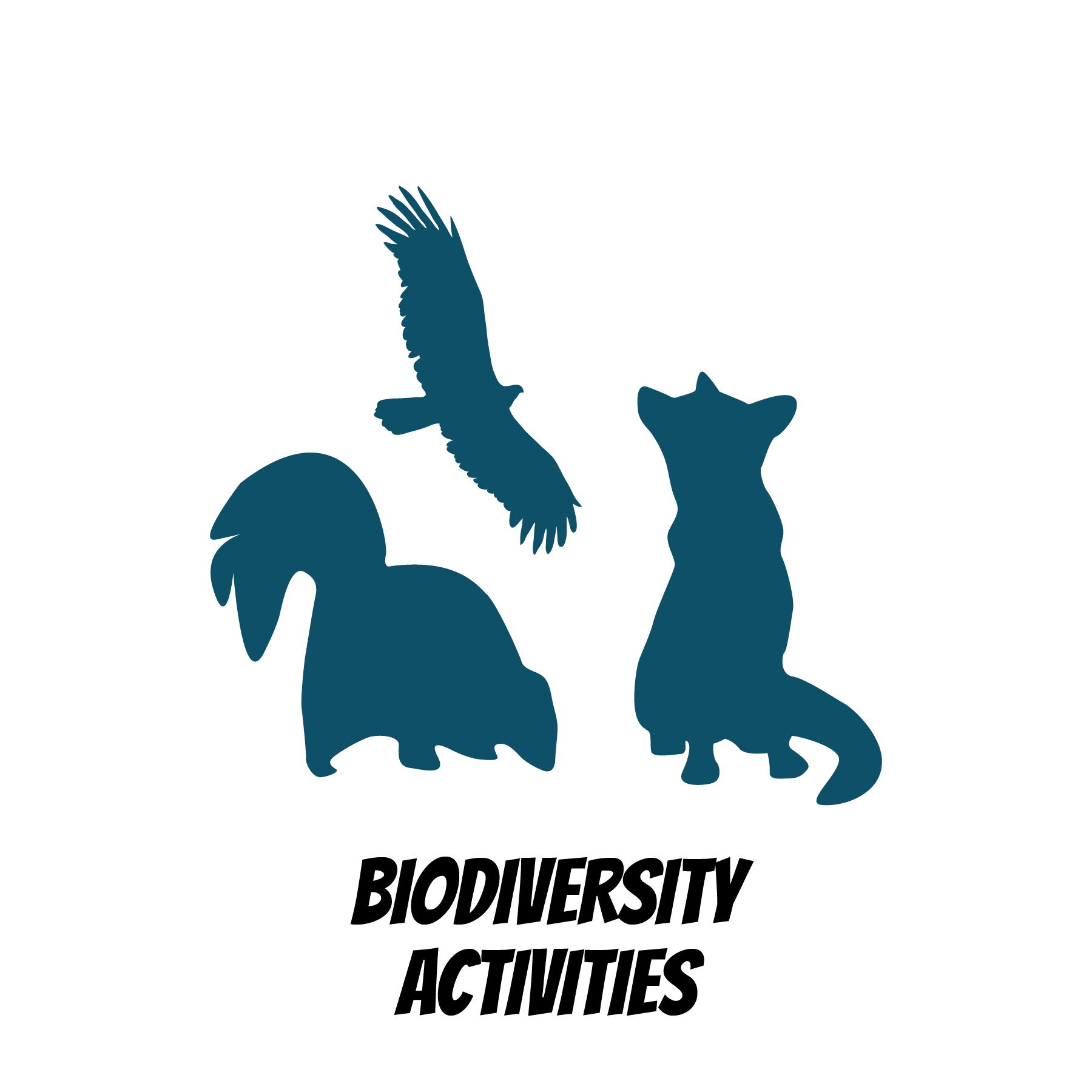  Biodiversity Activities 