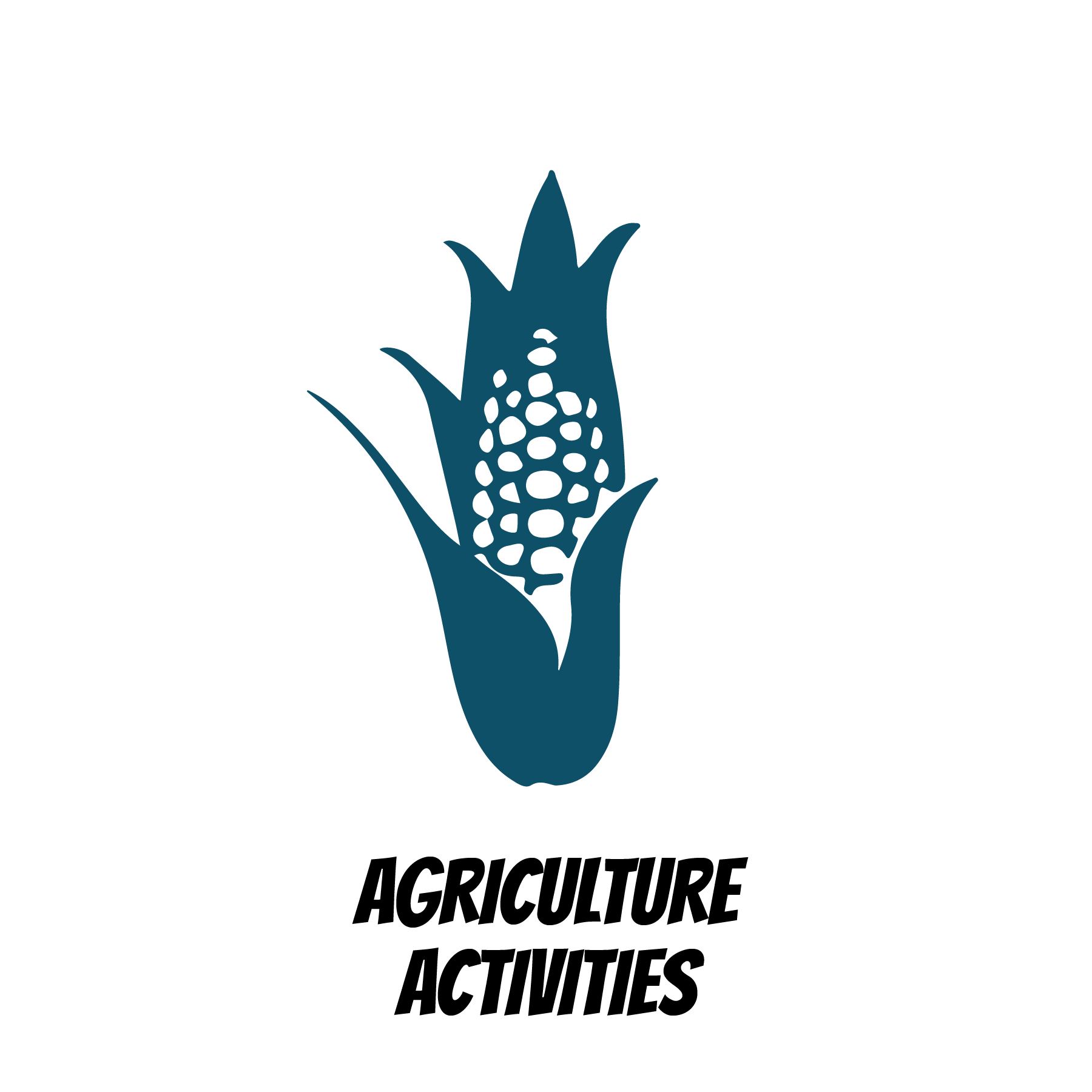  Agriculture Activities 