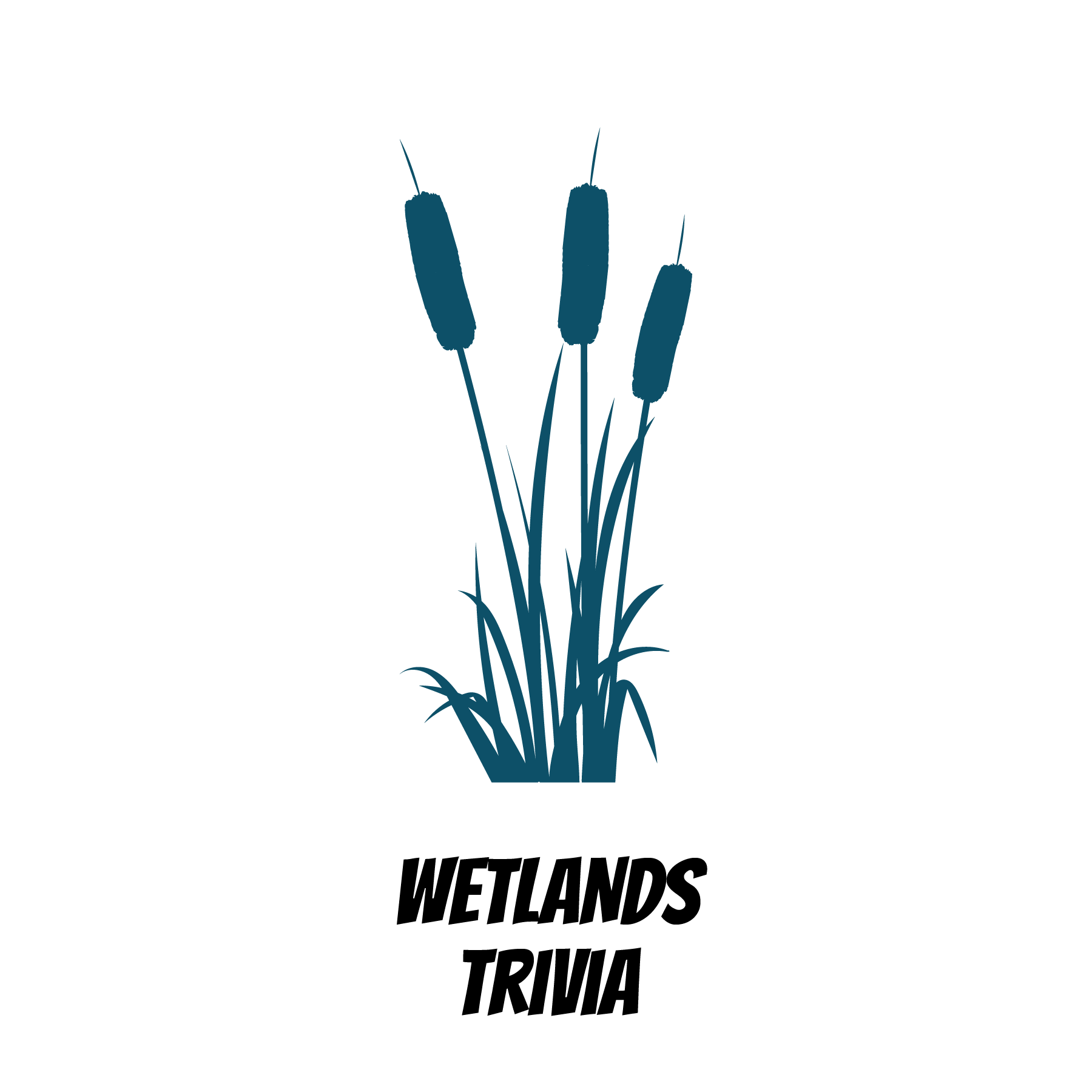  Wetlands Trivia 