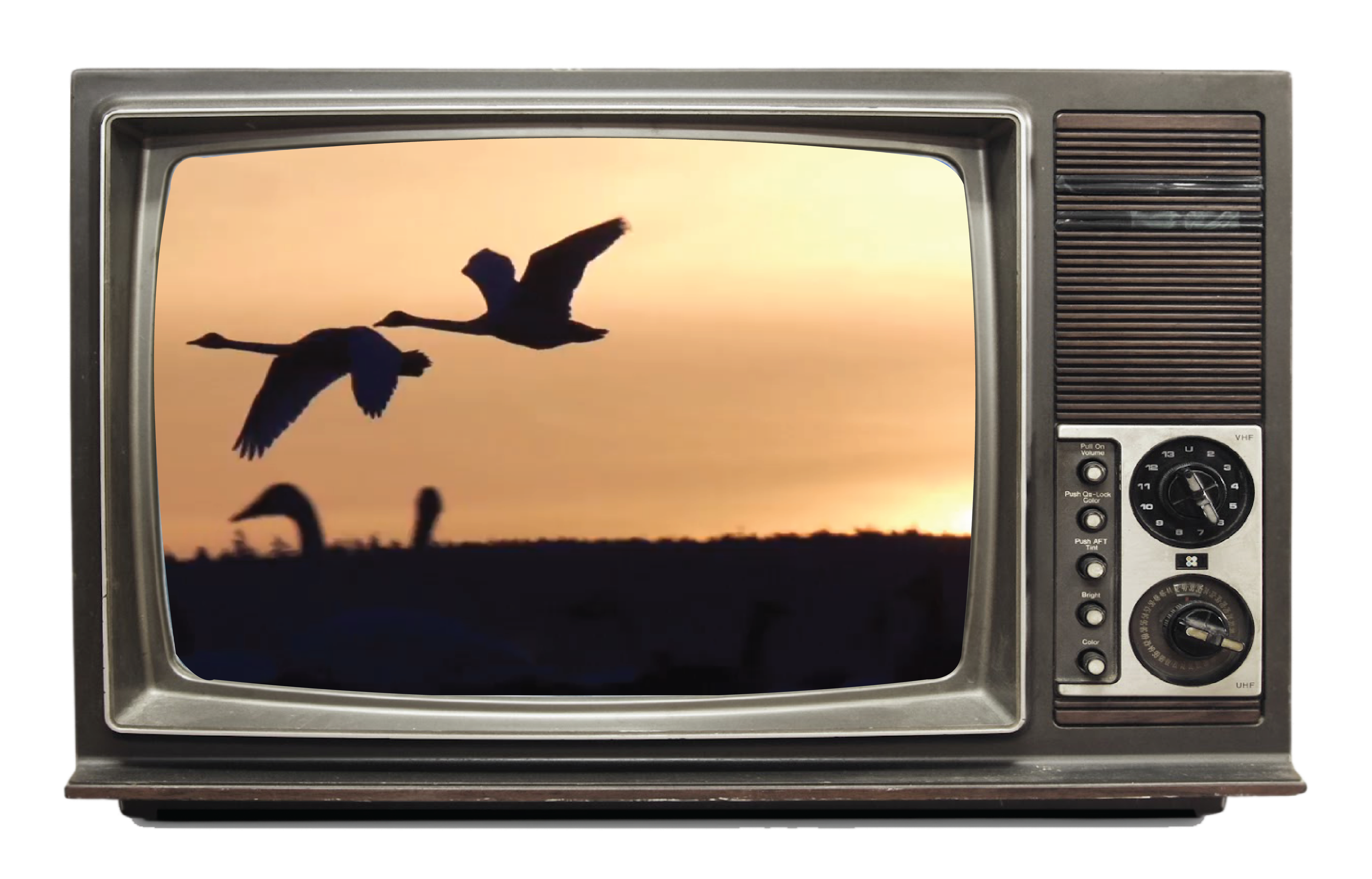 TV set showing geese flying overhead at dusk