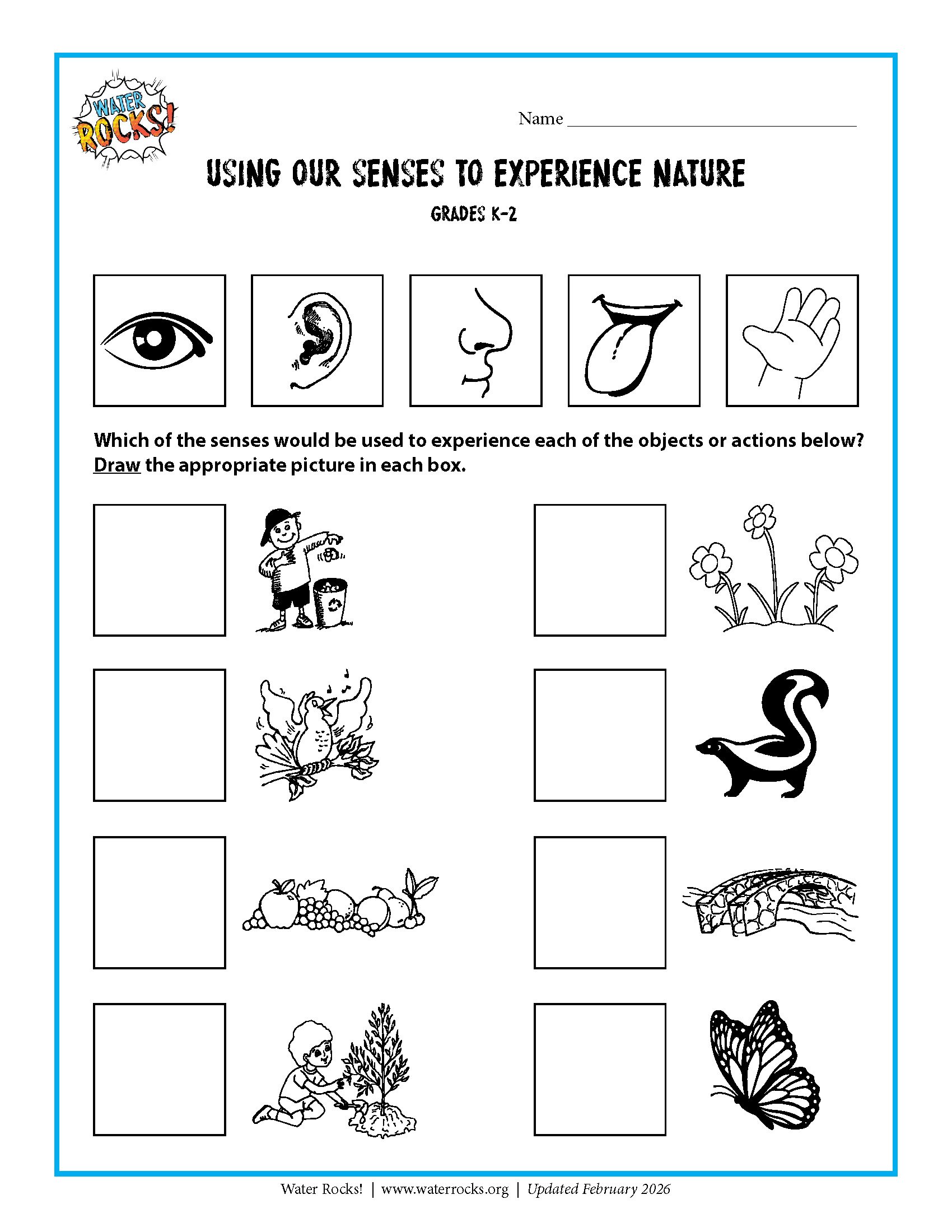 Using Our Senses to Experience Nature