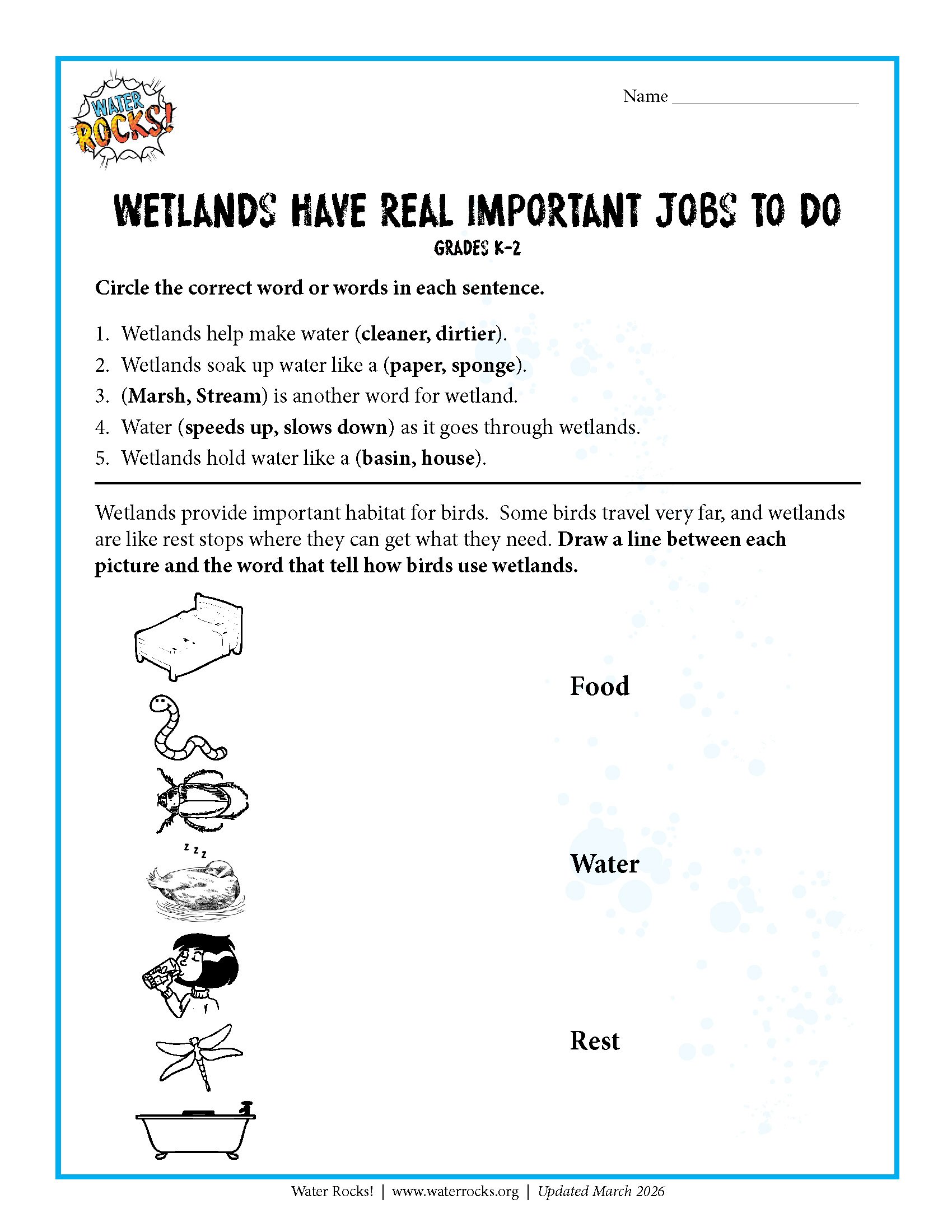 Wetlands Have Real Important Jobs To Do