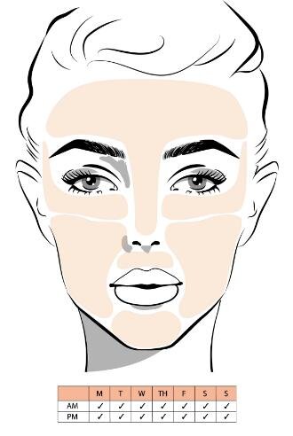 Face_scheme_800x.jpg