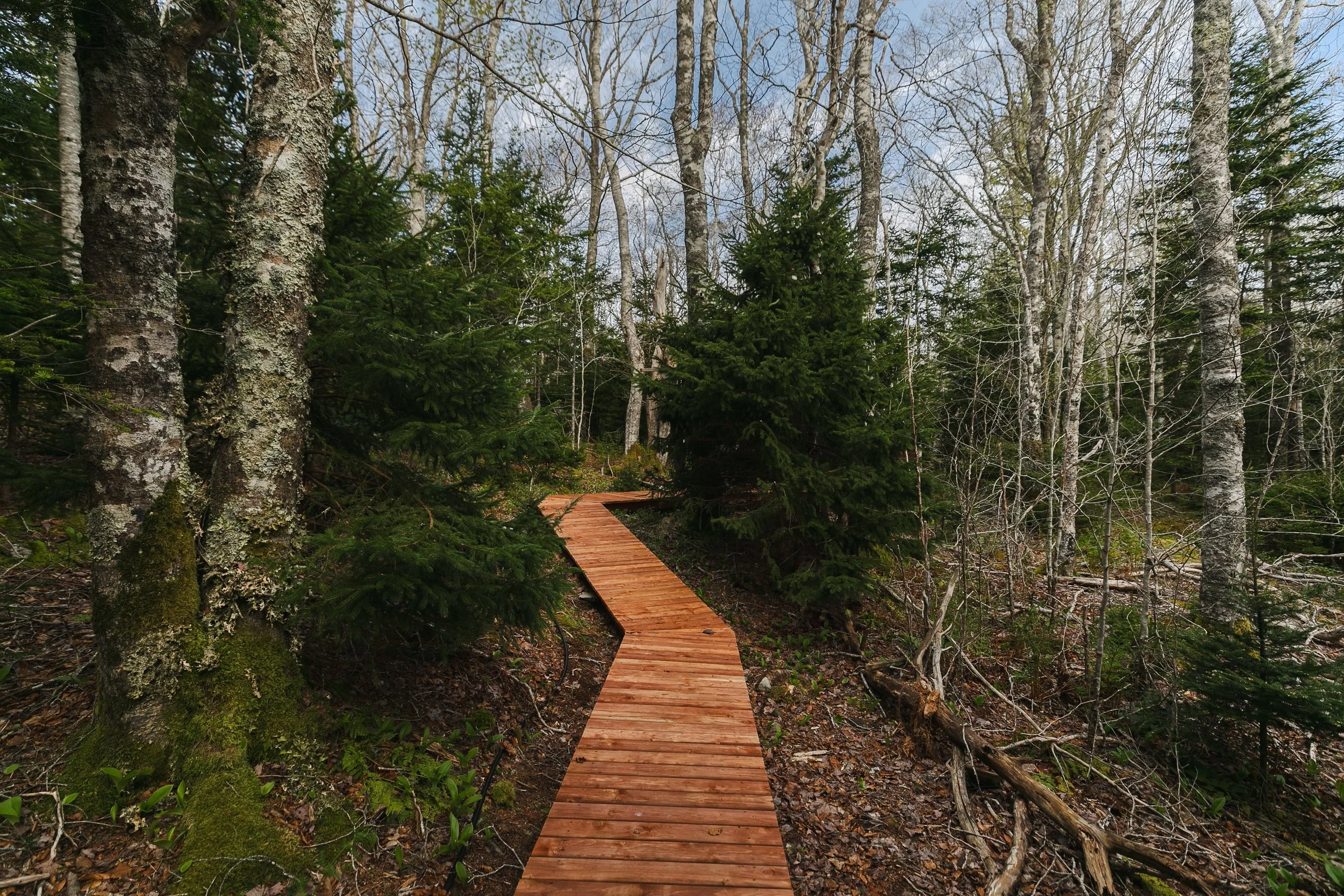 095-Maple_Island-95.jpg
