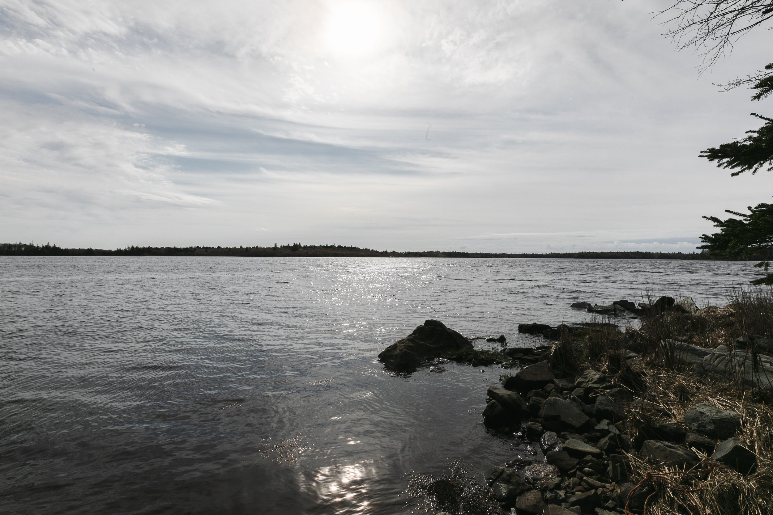 106-Maple_Island-106.jpg