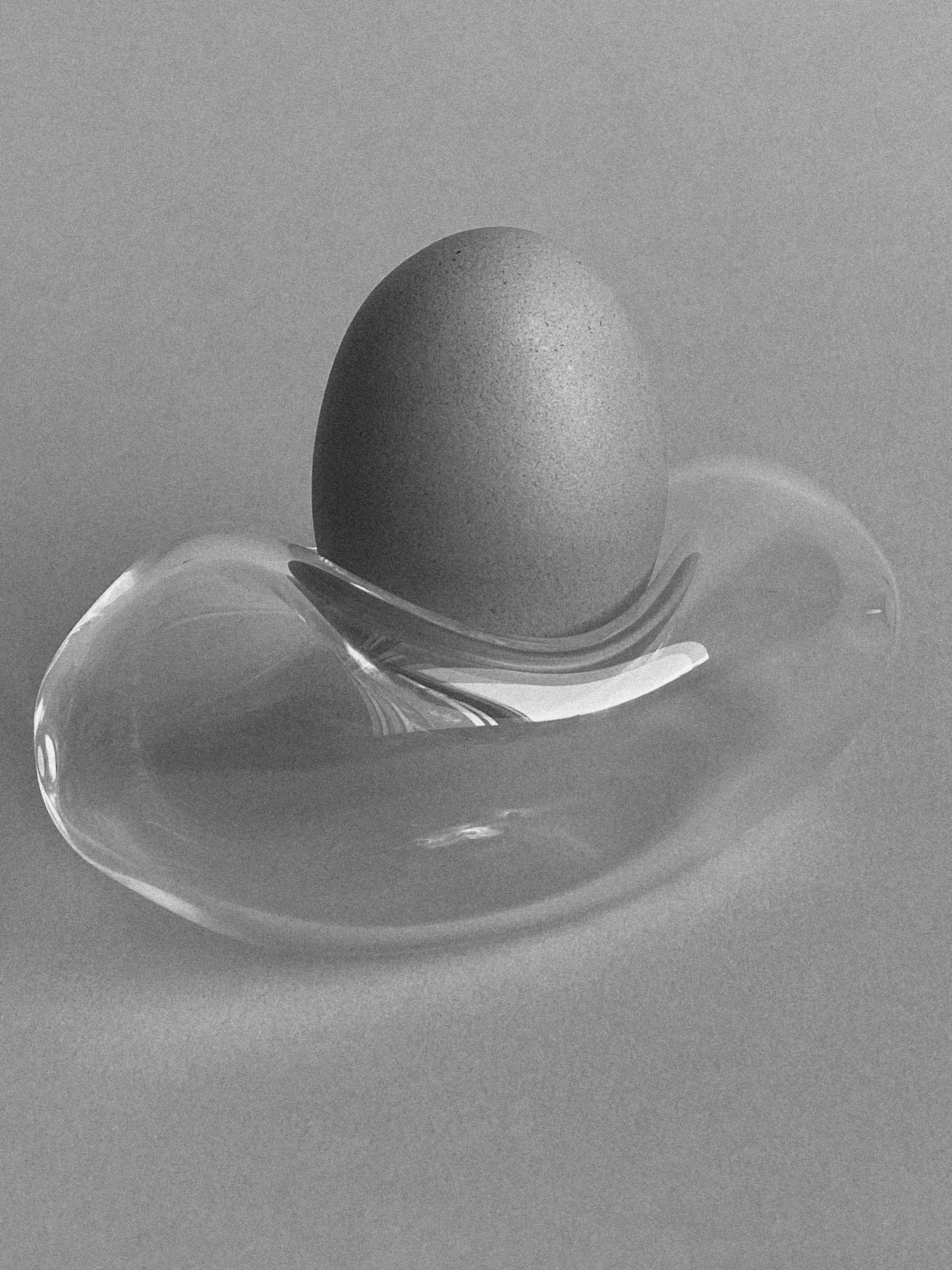 EGGCUP3.jpg