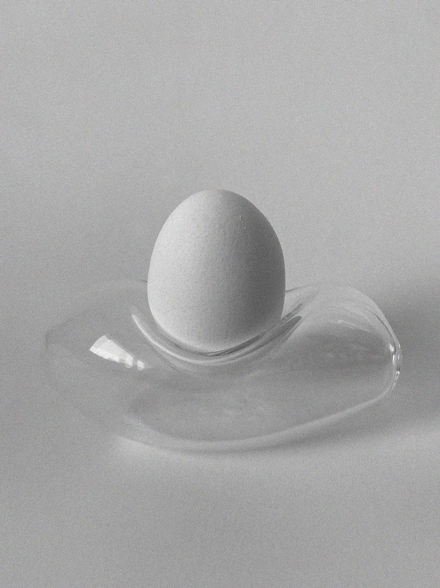 EGGCUP5byn.jpg