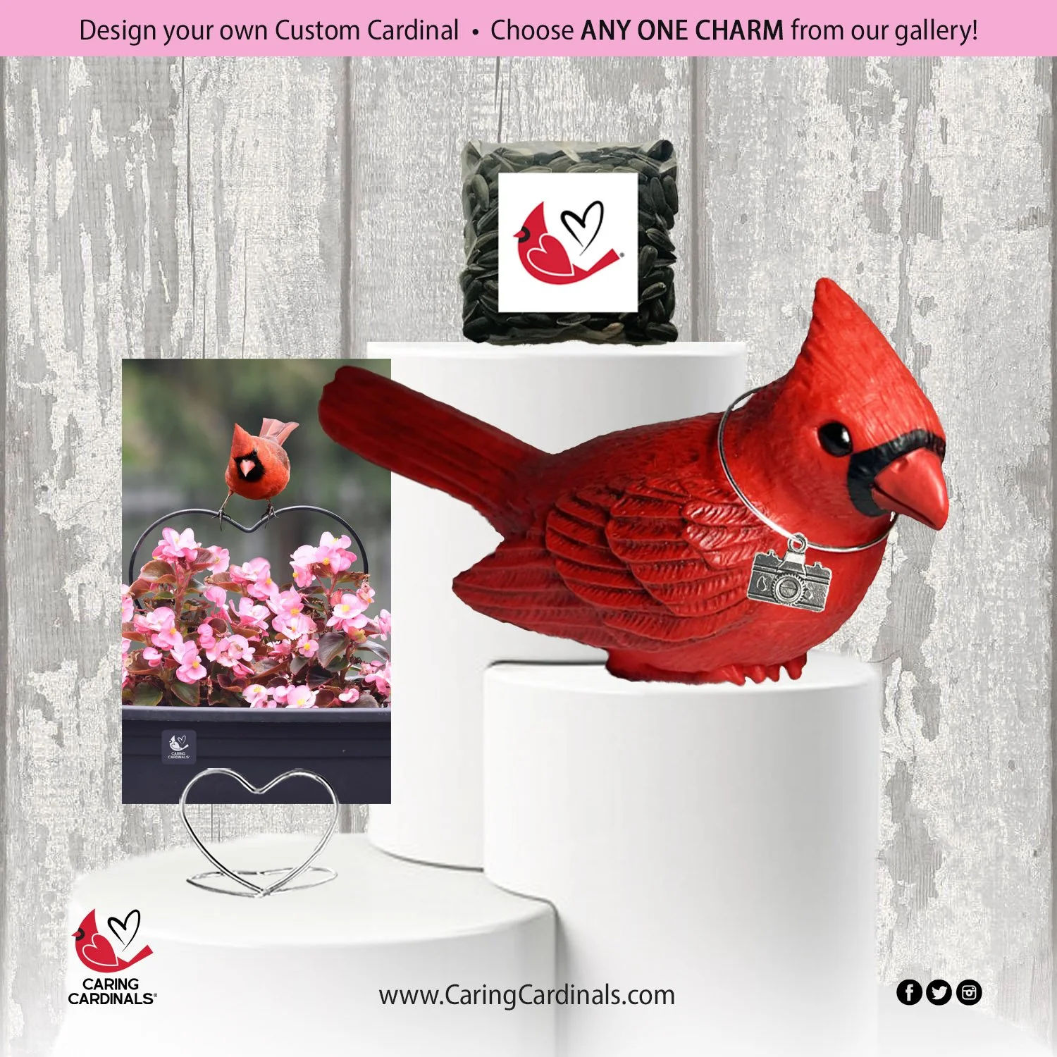 0 Cardinal-Fig CUSTOM-1.jpg