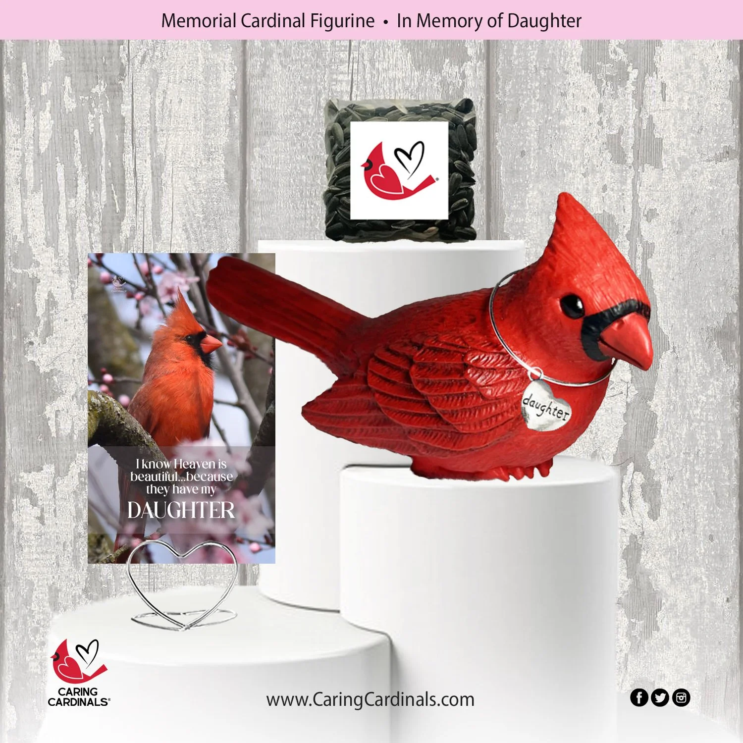 Cardinal-Fig DAUGHTER.jpg