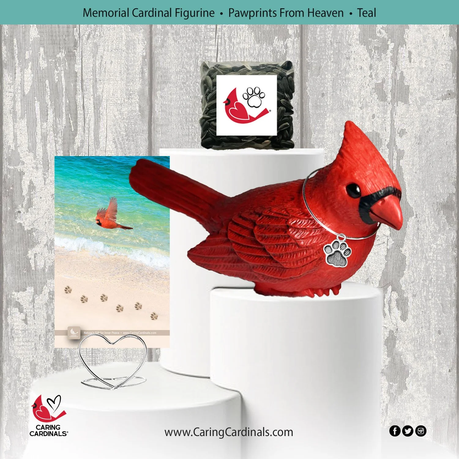 Cardinal-Fig PFH-Teal.jpg