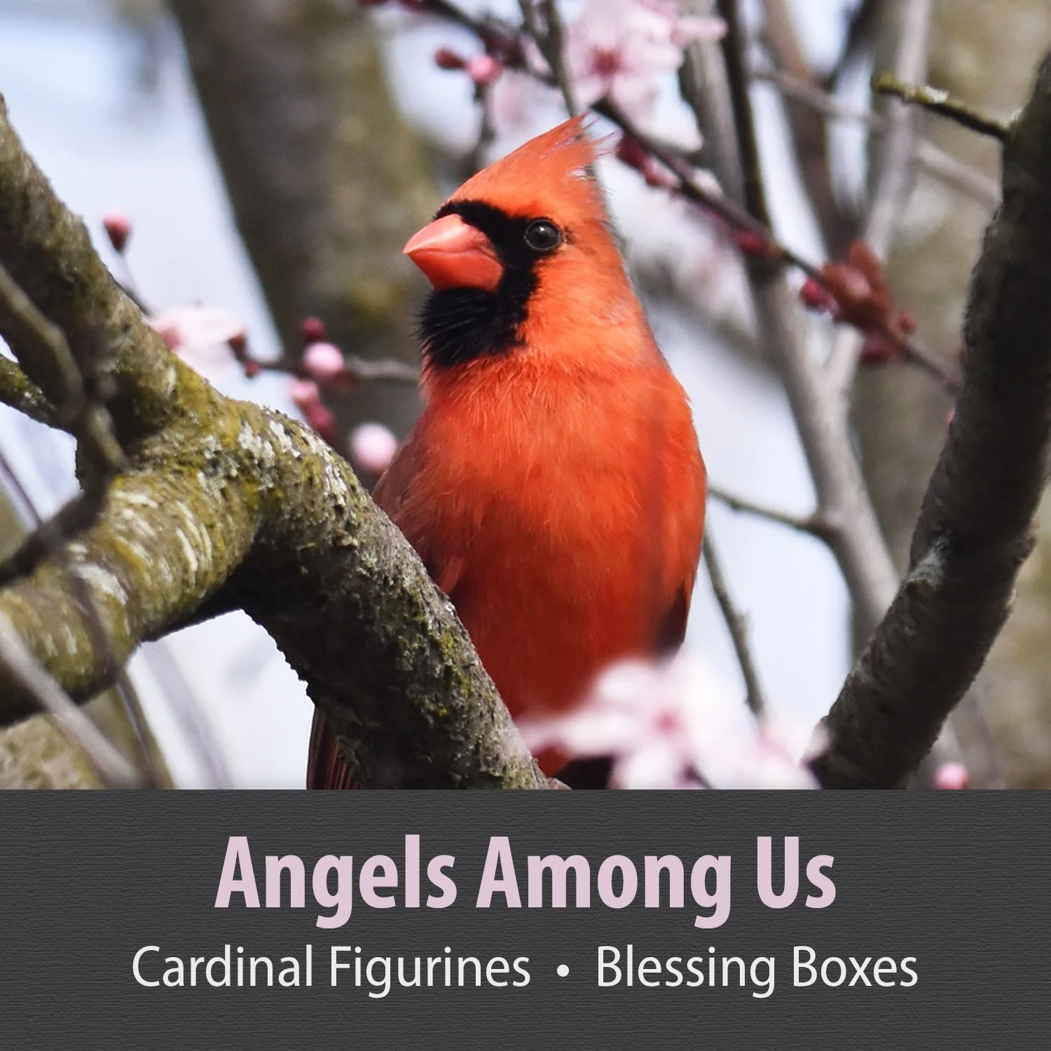 ANGELS AMONG US