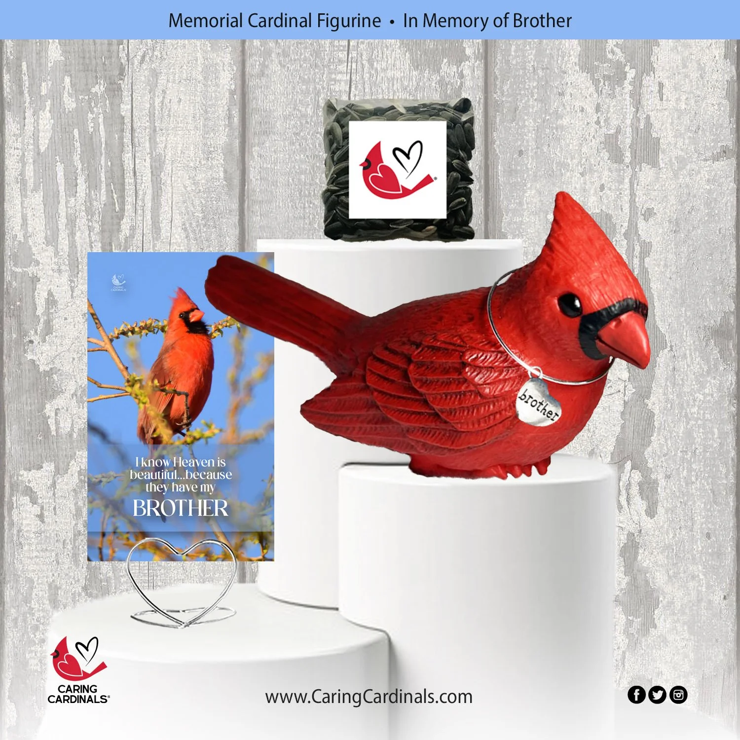 Cardinal-Fig BROTHER.jpg