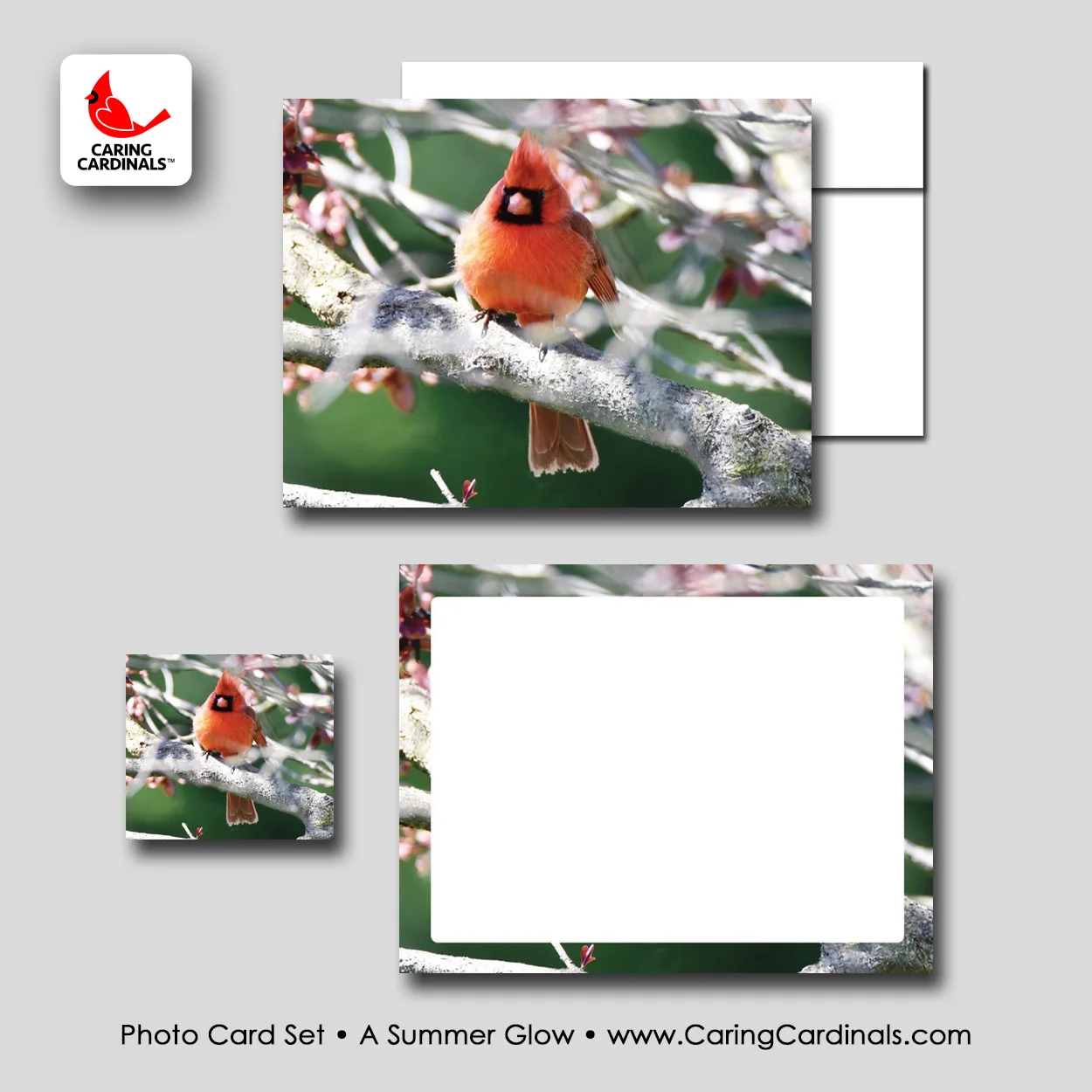 PHOTO CARD SET - A Summer Glow.jpg