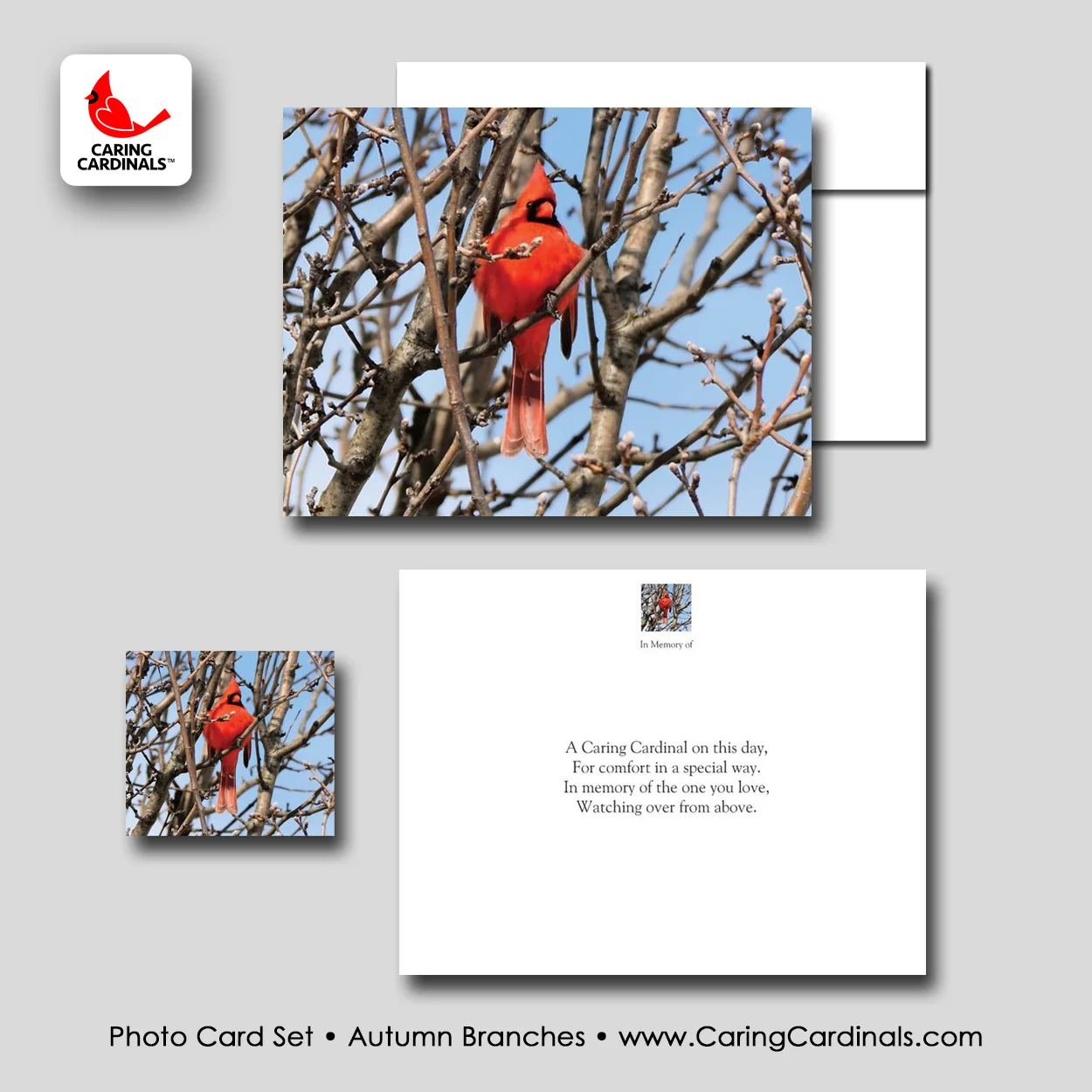 PHOTO CARD SET - Autumn Branches.jpg