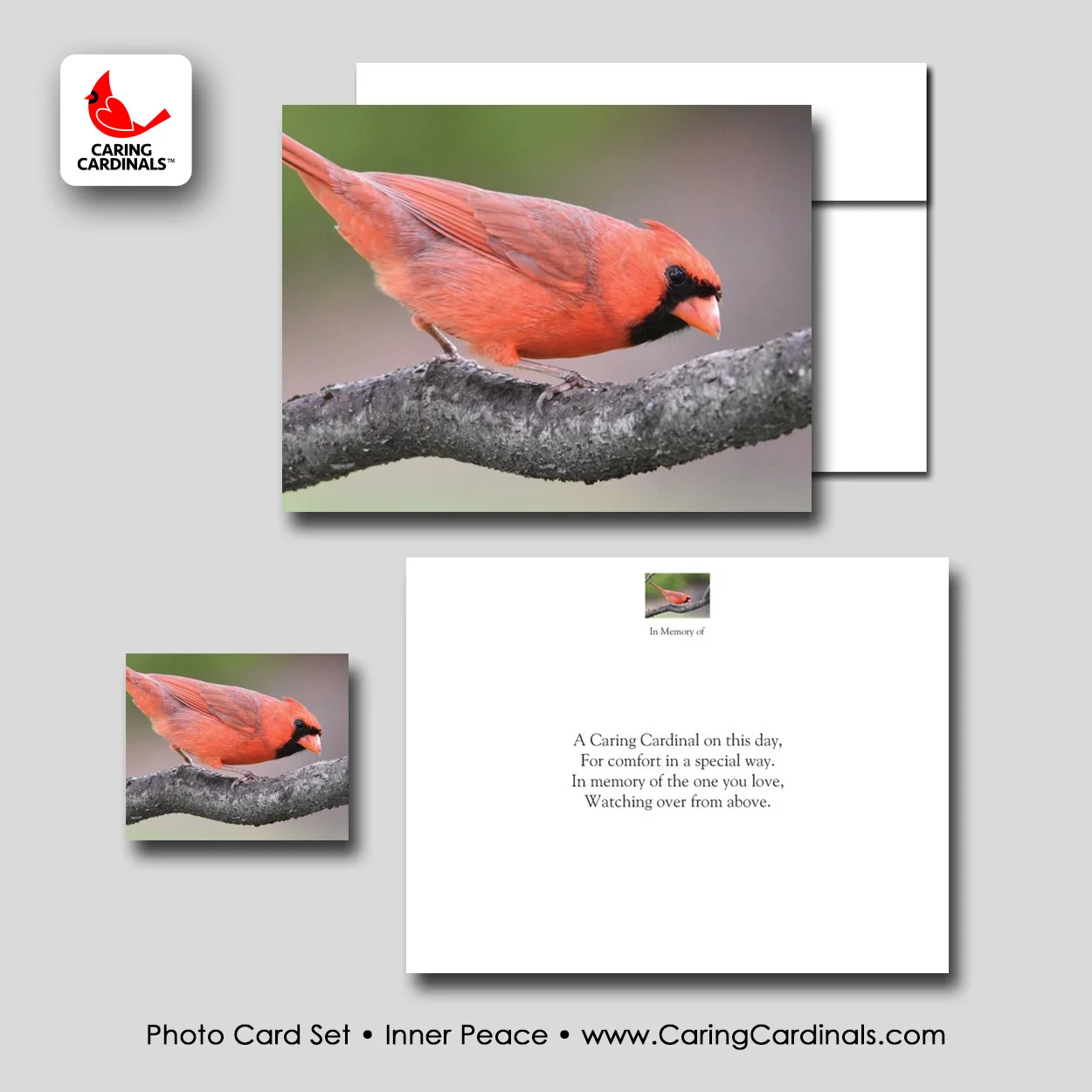 PHOTO CARD SET - Inner Peace.jpg