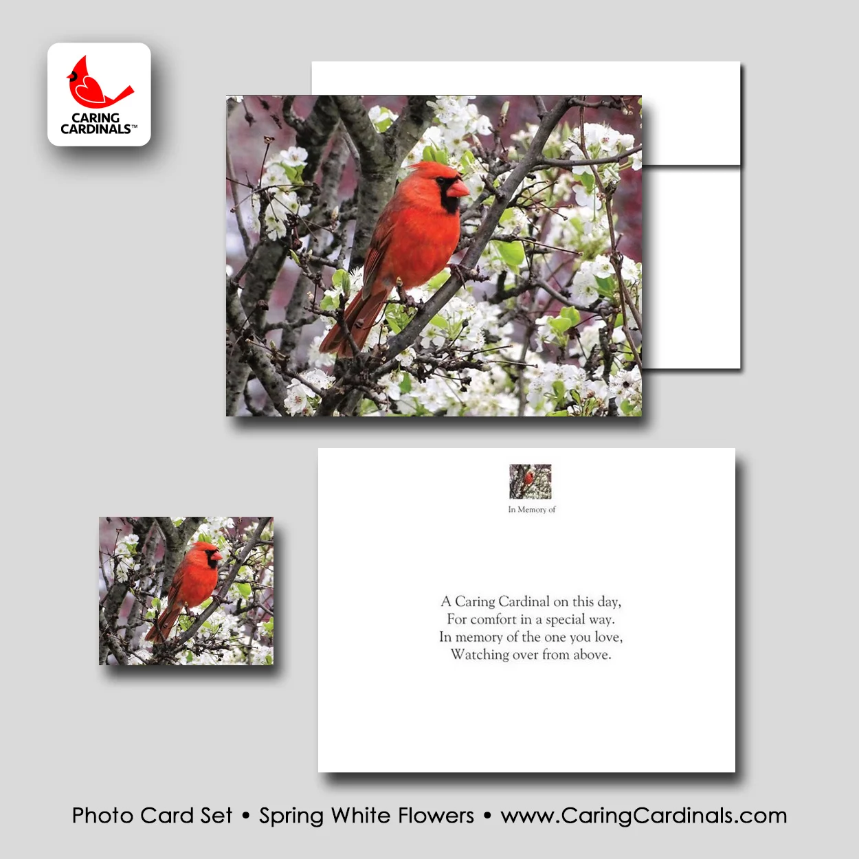 PHOTO CARD SET - Spring White Flowers.jpg