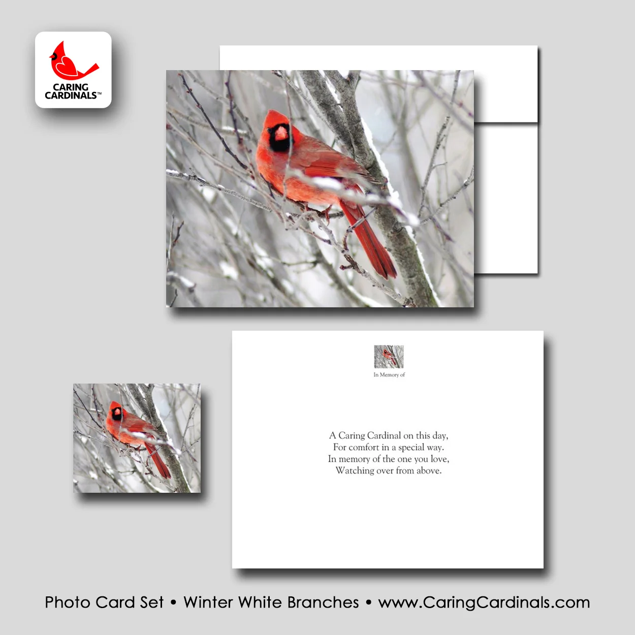 PHOTO CARD SET - Winter White Branches.jpg