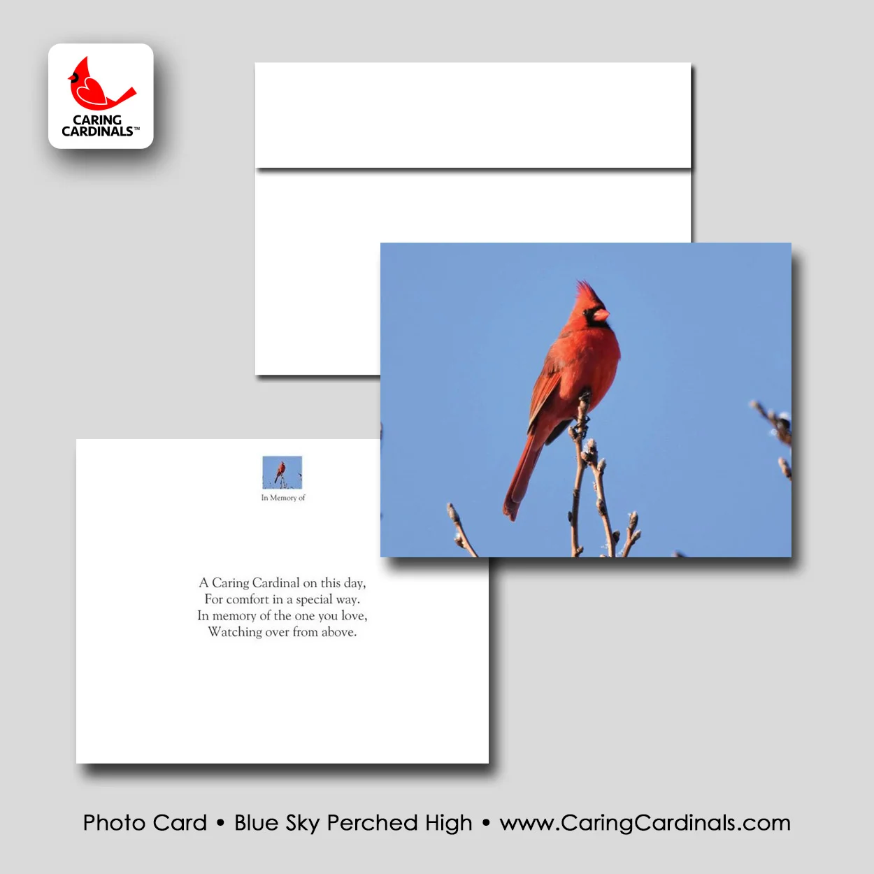 PHOTO CARD - Blue Sky Perched High.jpg