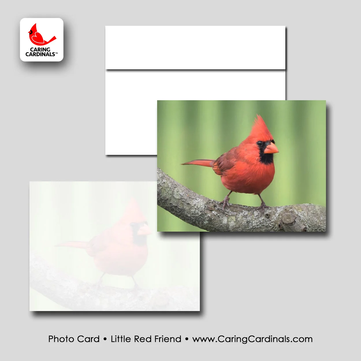 PHOTO CARD - Little Red Friend.jpg