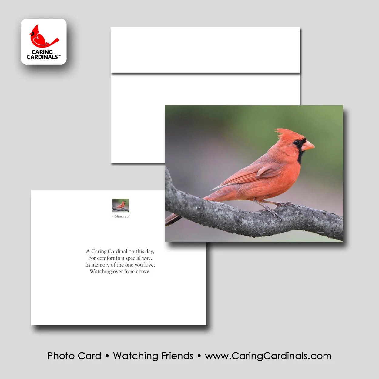 PHOTO CARD - Watching Friends.jpg